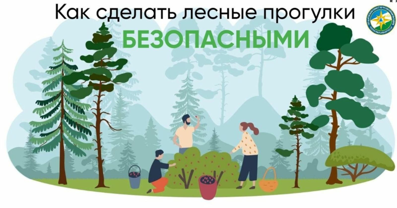 В лесах Башкирии потерялись три человека