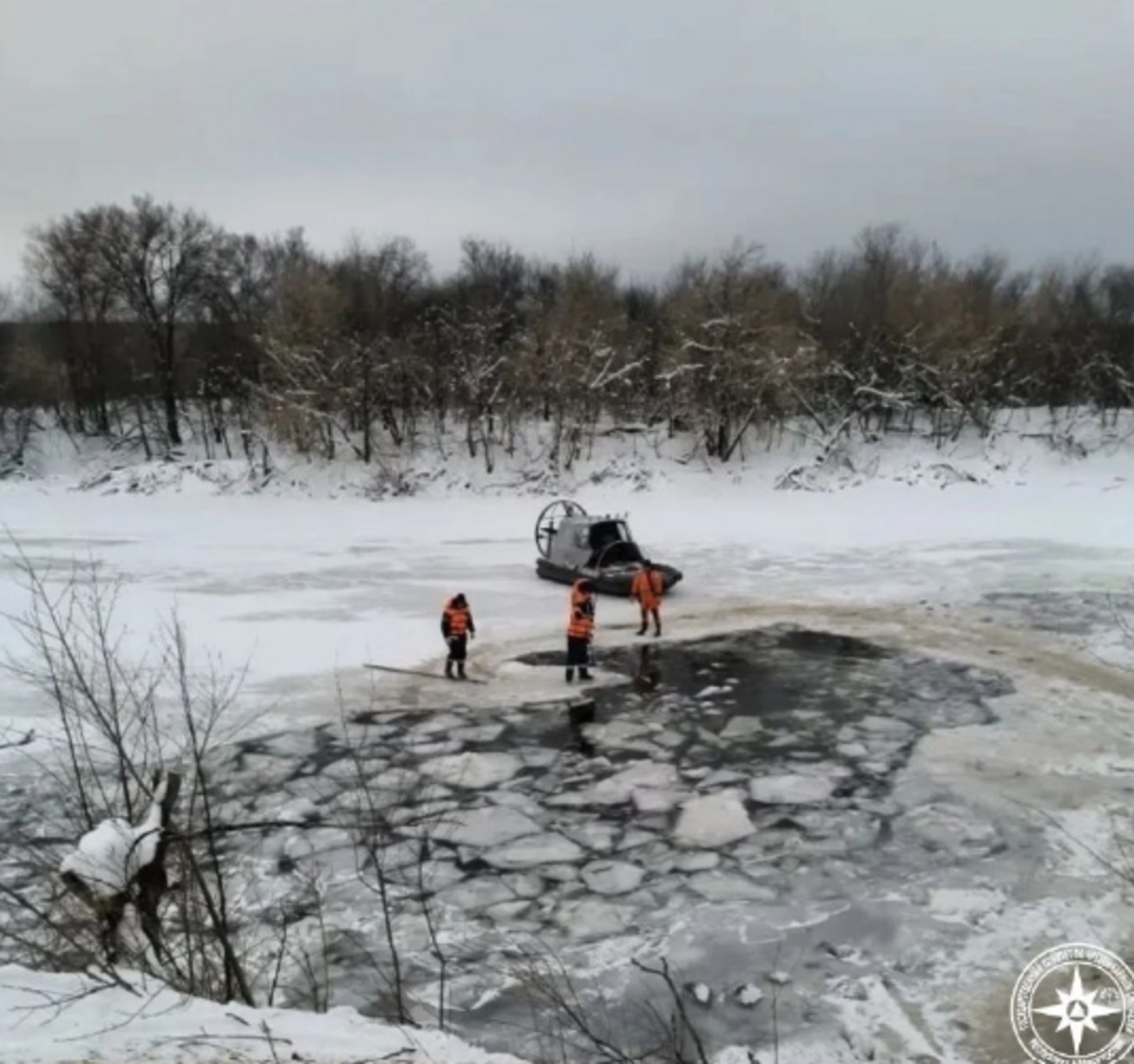 Одна выжила: из озера Узеть в Башкирии достали 780 утонувших овец