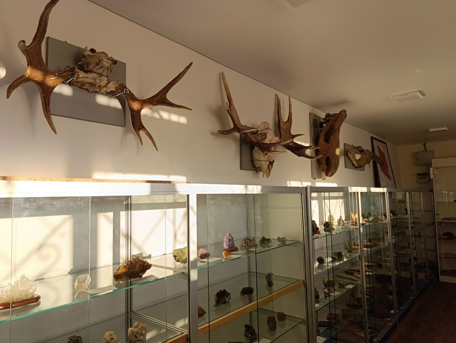 В Краснокамском районе открылся музей геологии «Наследие Урала»