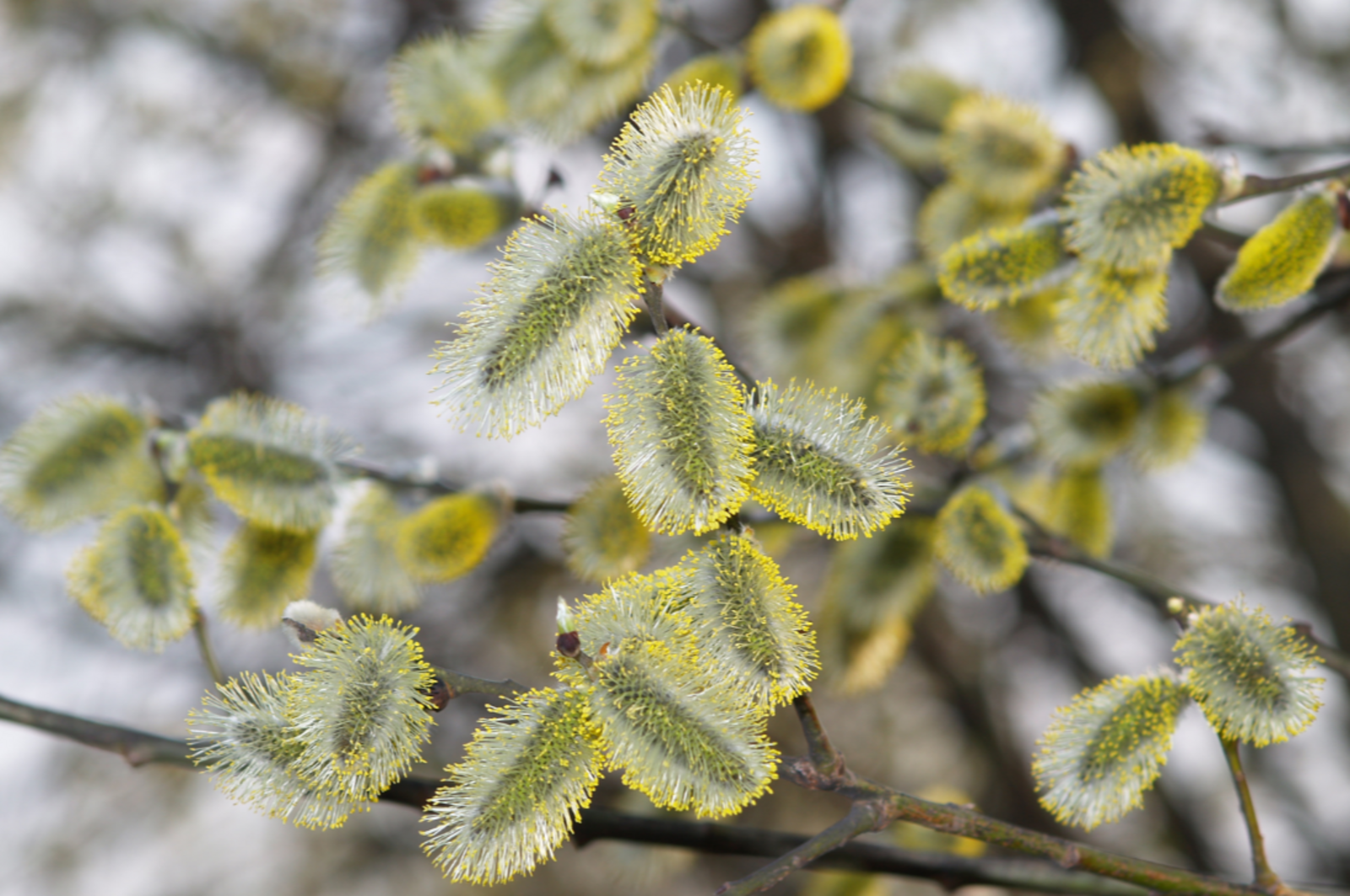 Гороскоп на 16 марта 2026: 5 знакам зодиака придется сделать сложный выбор