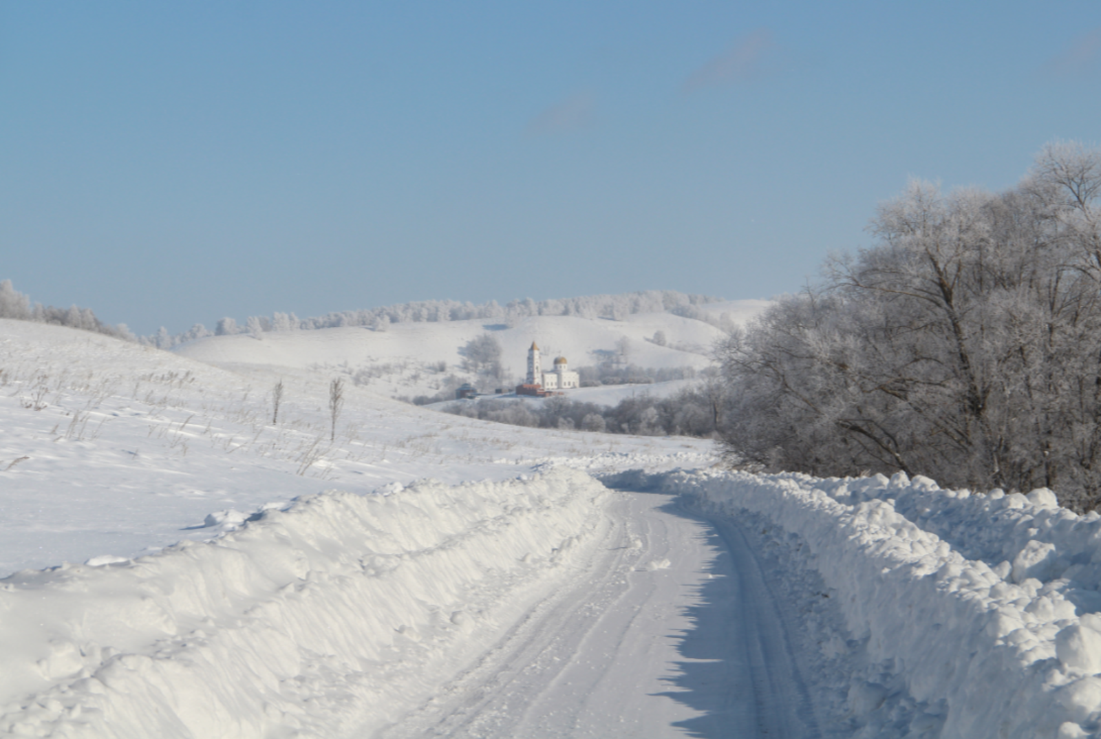 Гороскоп на 7 февраля 2026 года для всех знаков зодиака