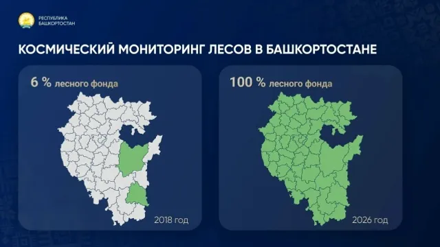 В Башкирии 100% леса находится под космическим мониторингом