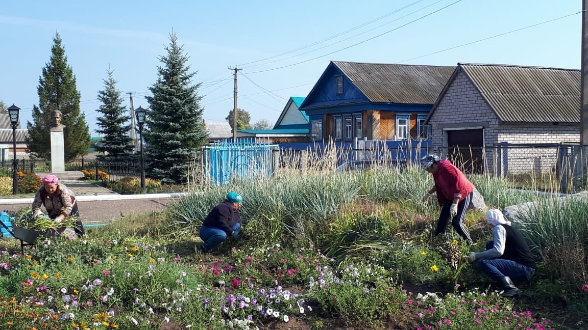 Краснокамцы выходят на осенние экологические субботники