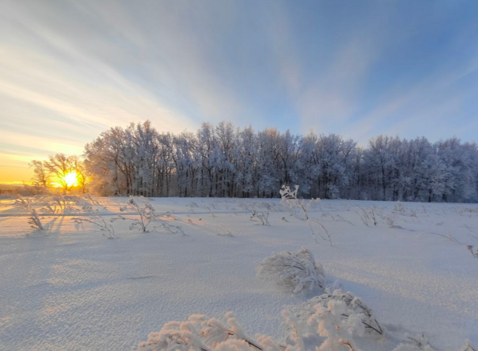 Гороскоп на 8 февраля 2026 года для всех знаков зодиака
