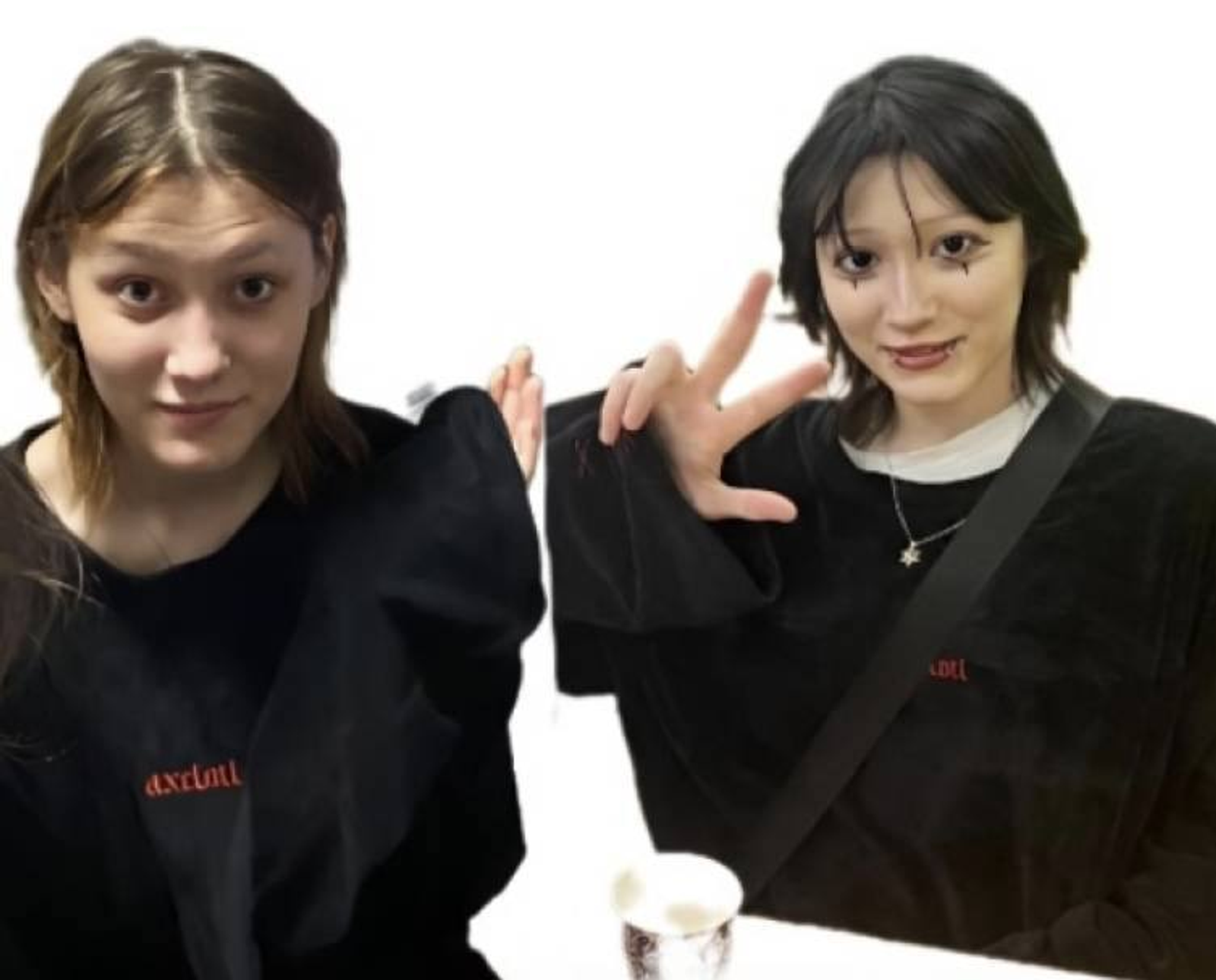 «Ушла из школы и пропала»: в Башкирии ищут 14-летнюю Русалину Сафиуллину