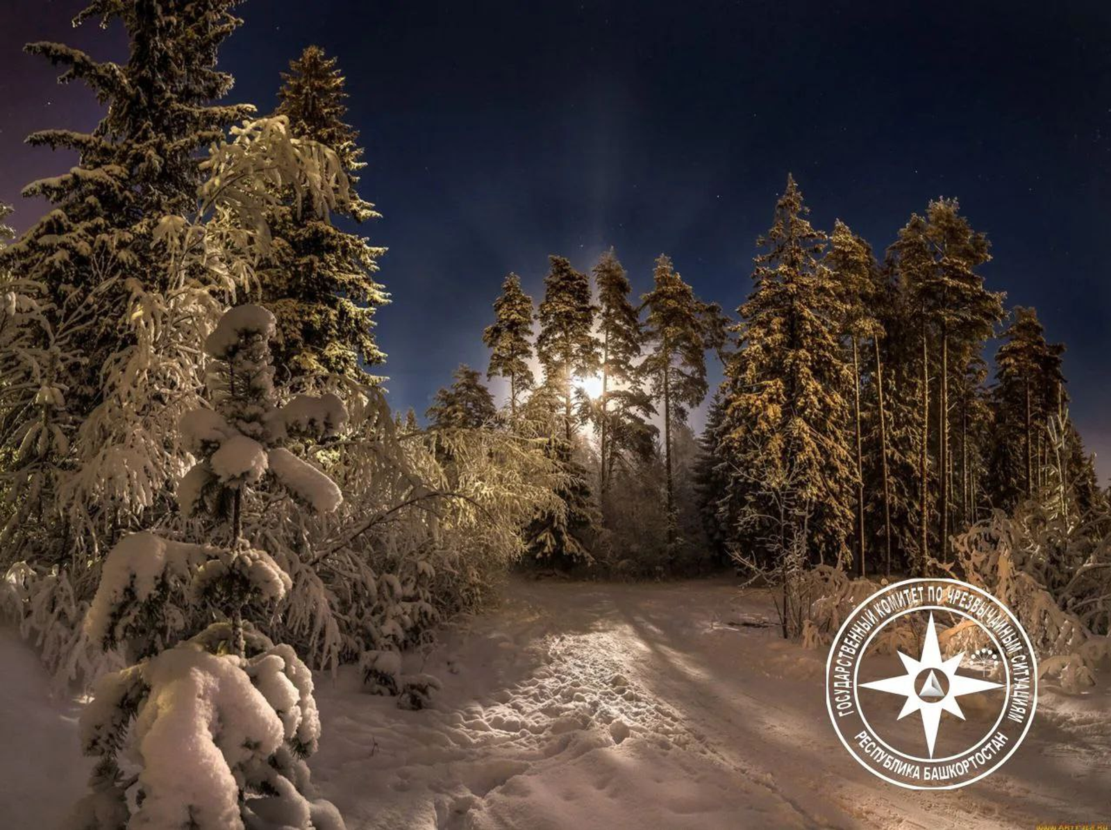 В Краснокамском районе зимняя прогулка чуть не привела к трагедии