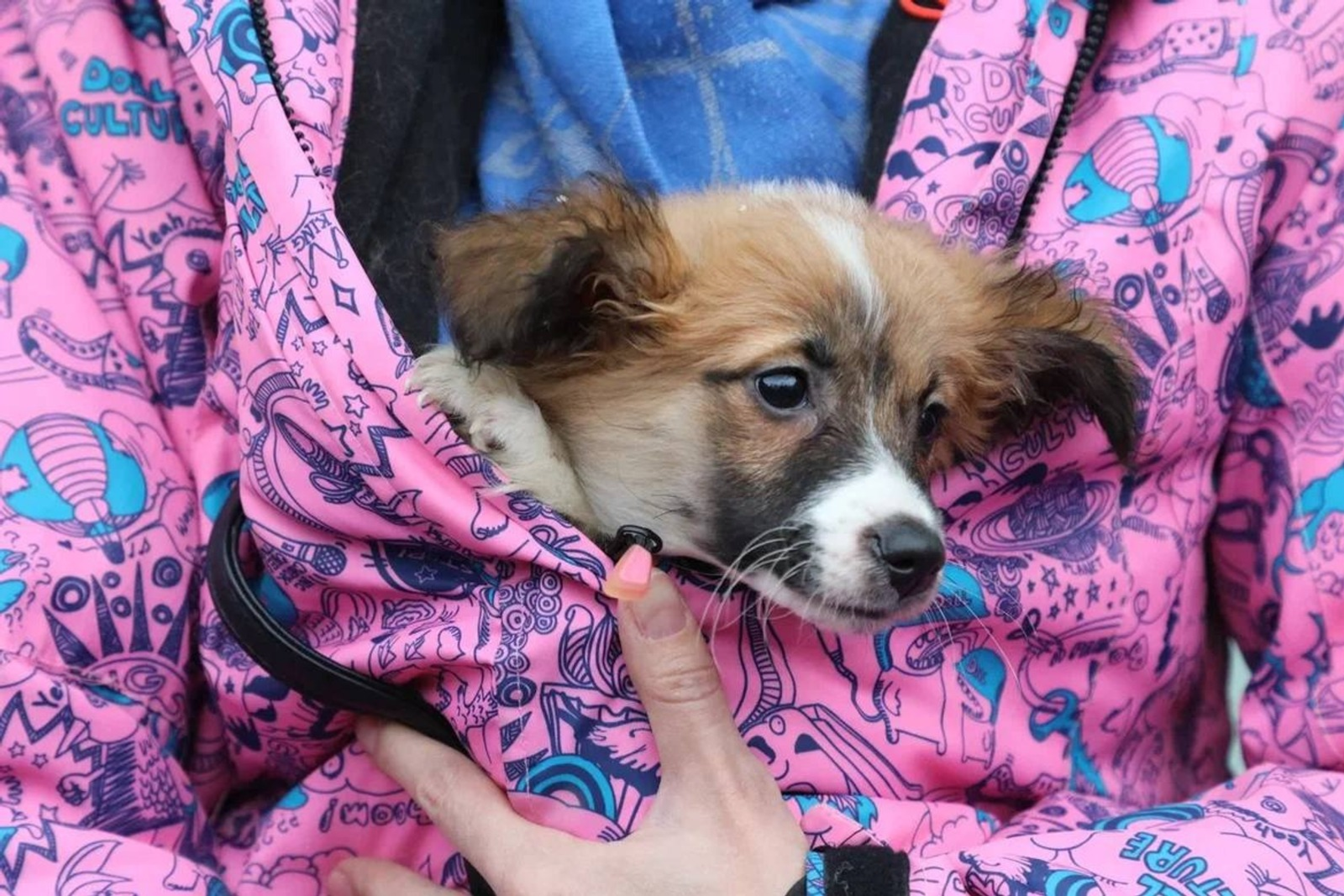 В Башкирии провели очередную акцию «Ищу человека»