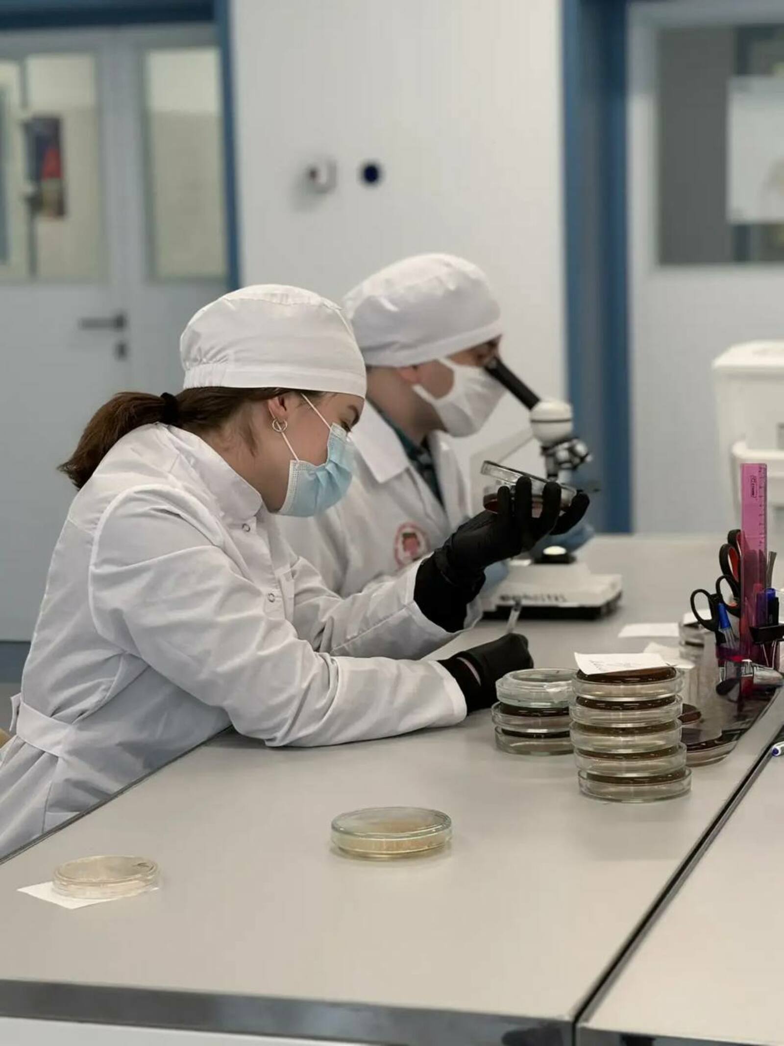 В Башкирии создали тест-систему для быстрого поиска «бактерии стройности»