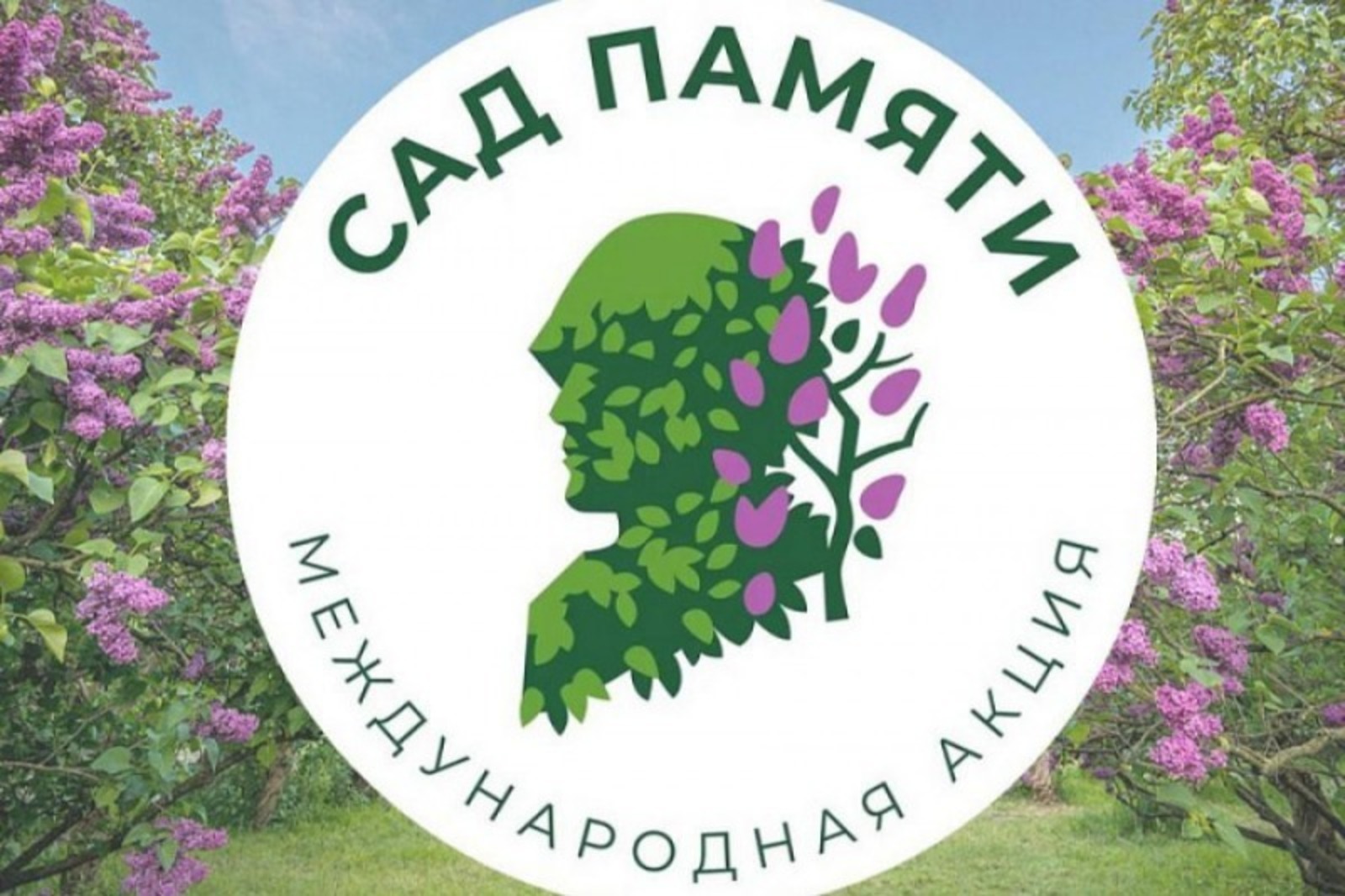 В Башкортостане участники акции «Сад памяти» посадили 580 тысяч деревьев