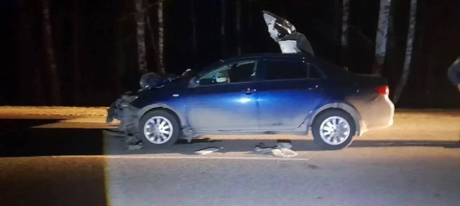 В Краснокамском районе в ДТП с лосем погибла 43-летняя женщина