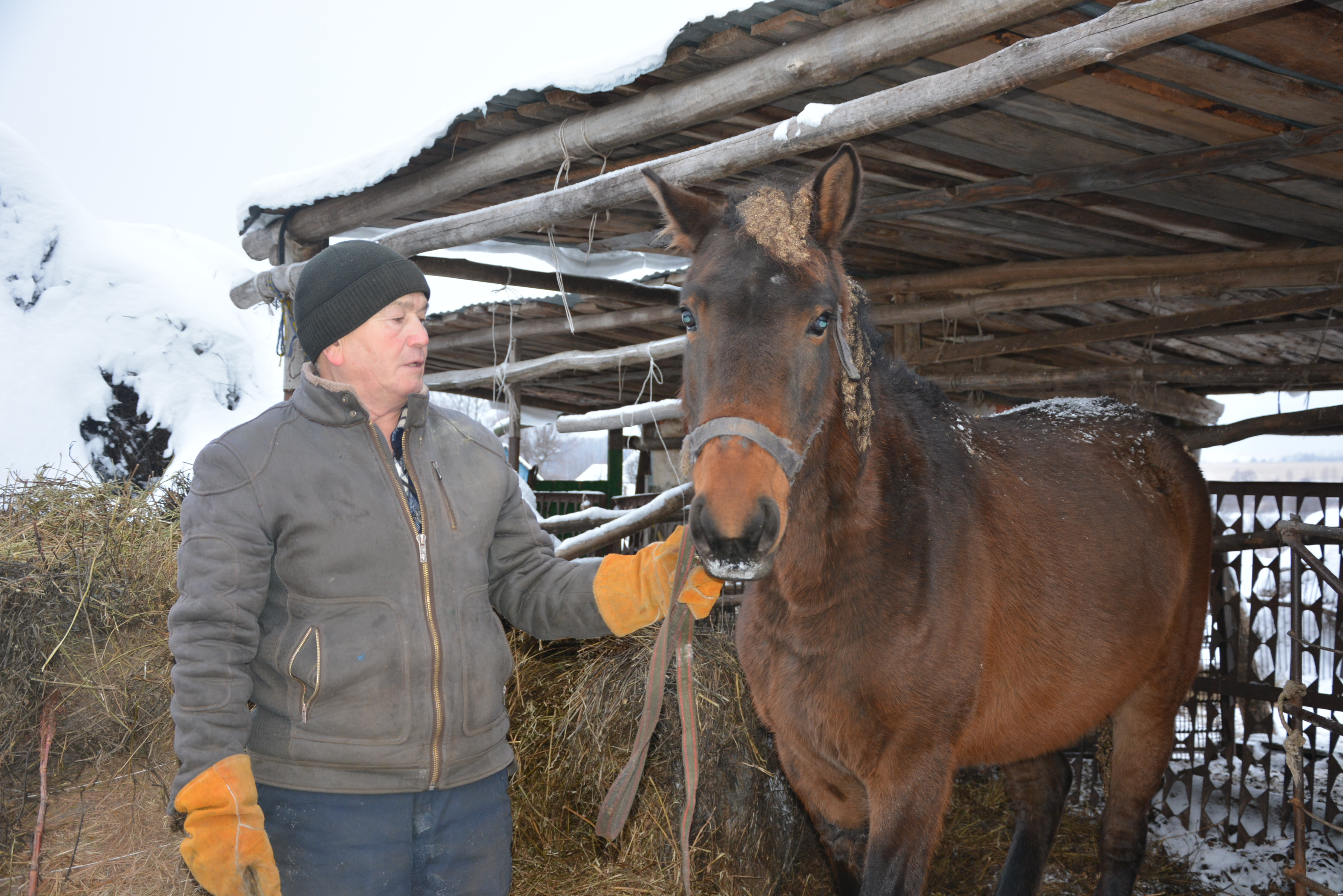 Любовь к лошадям – на протяжении всей жизни
