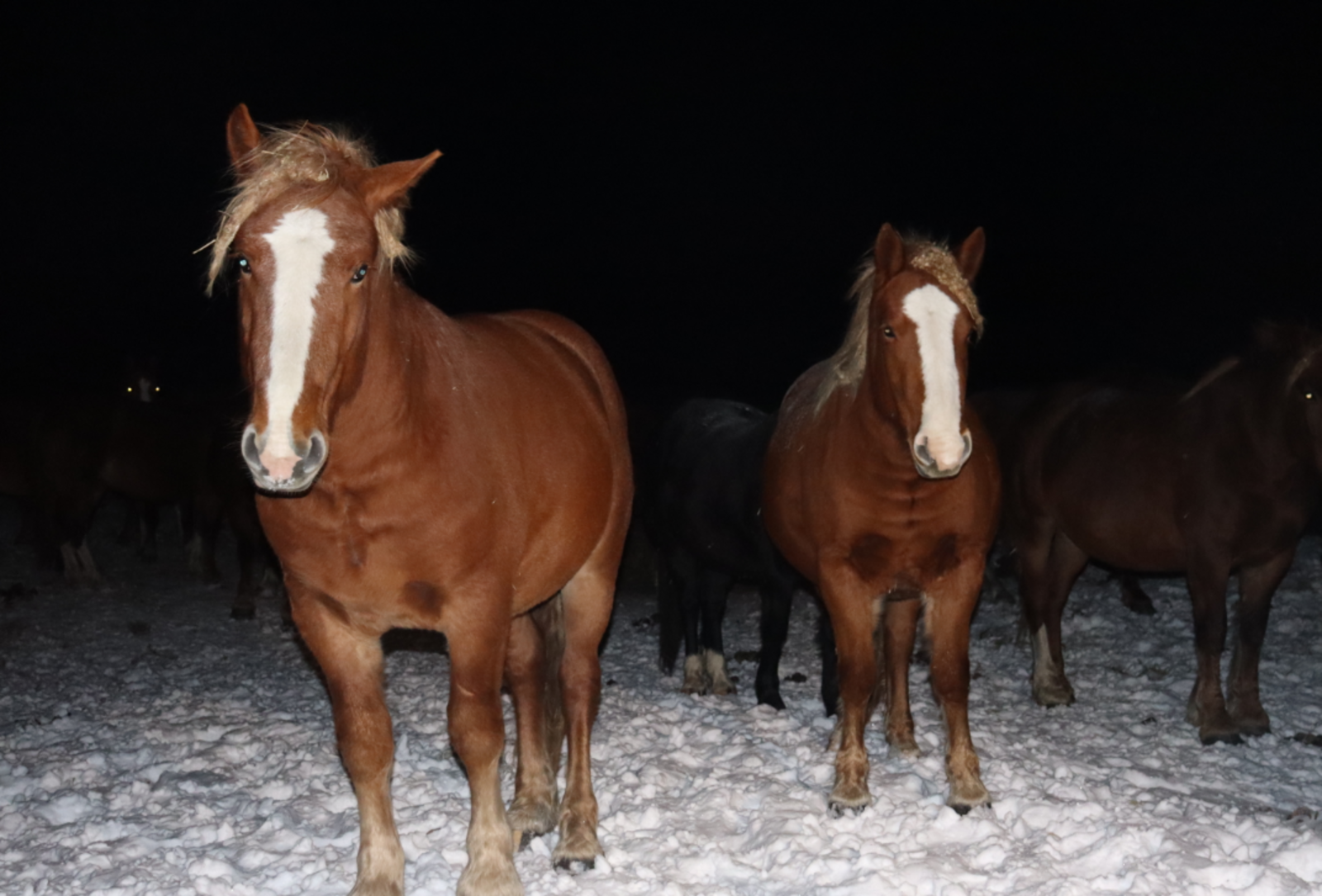 Гороскоп для всех знаков зодиака на 6 марта 2026 года