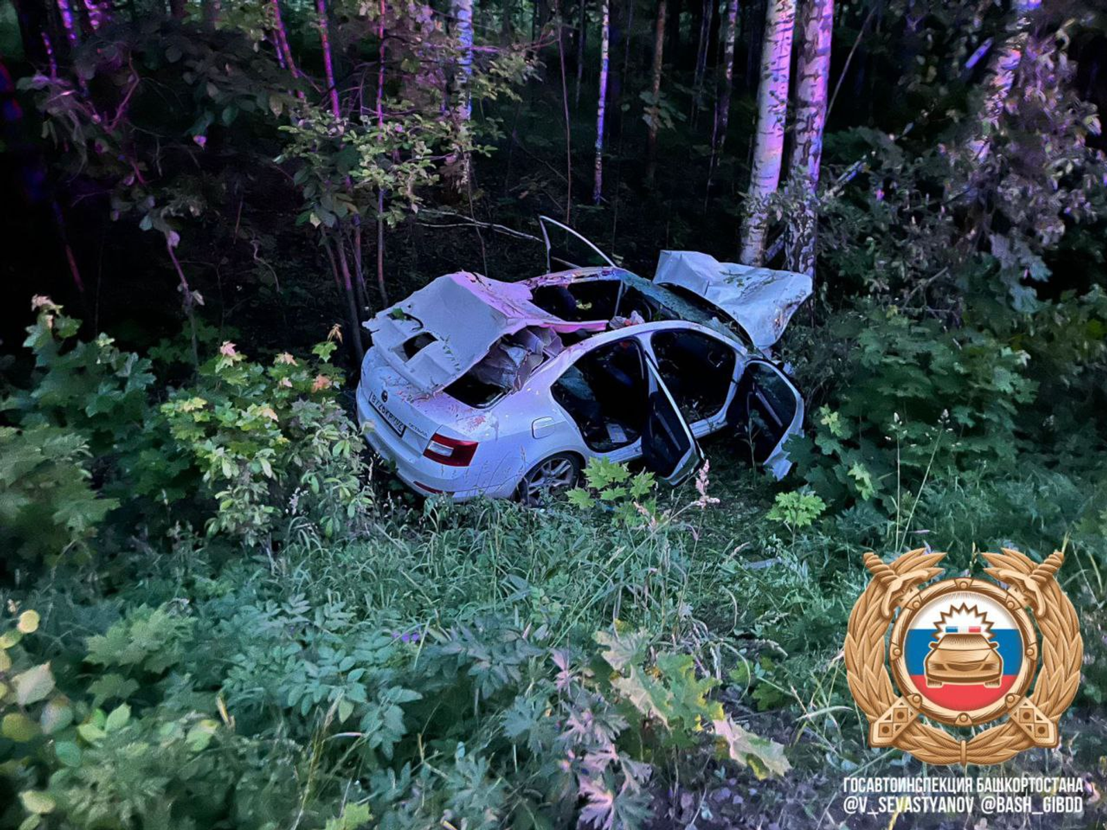 В Башкирии в столкновении с лосем погибли водитель и ребёнок