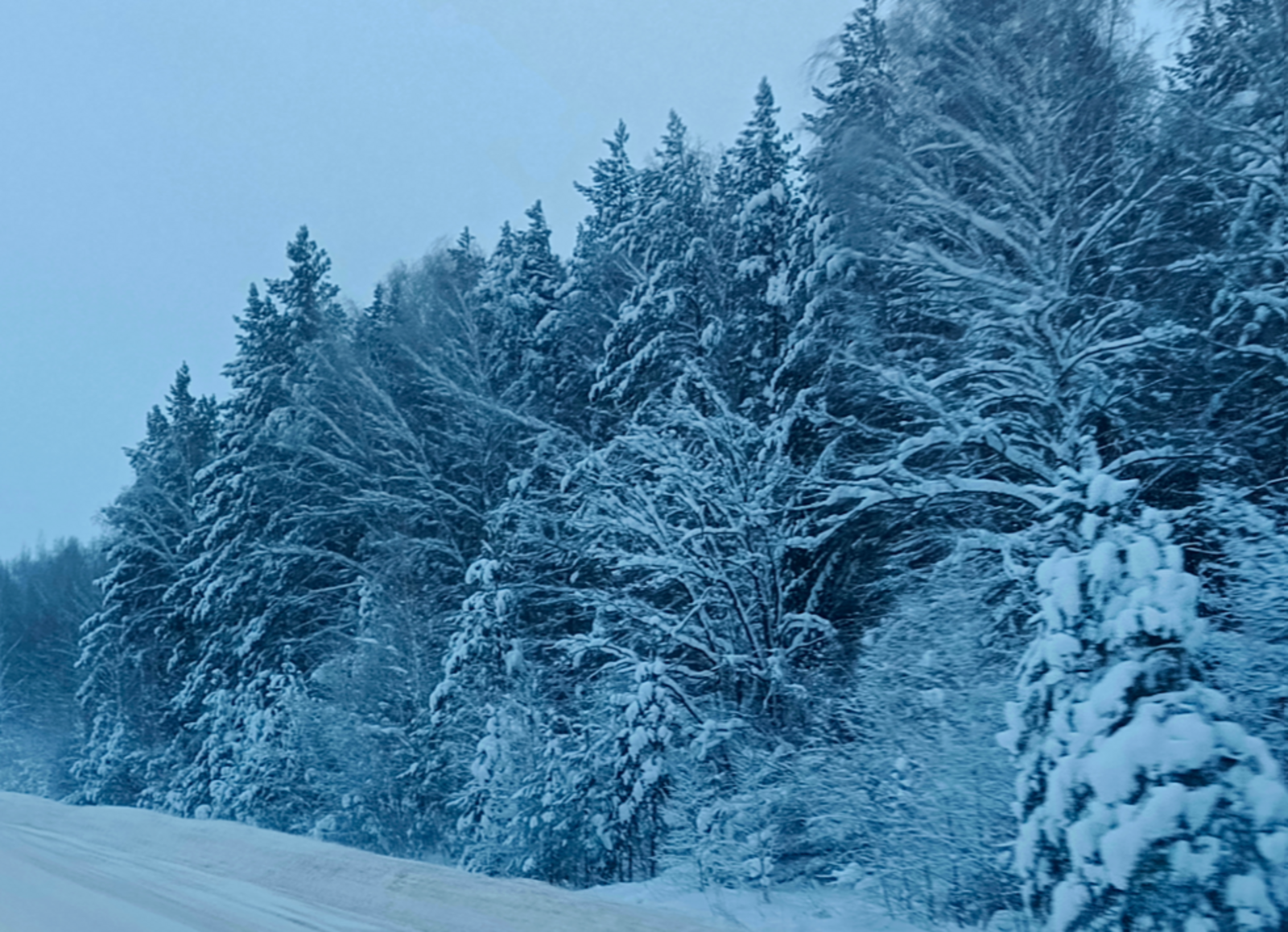 Гороскоп на 16 февраля для всех знаков Зодиака