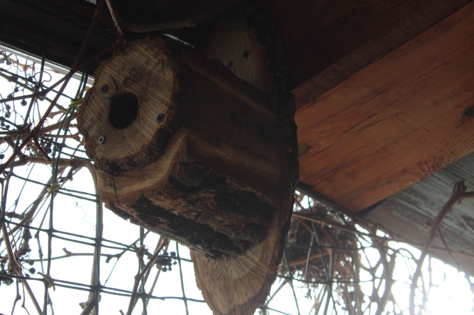 Гороскоп на 21 марта 2026: 3 знака зодиака могут встретить свою любовь