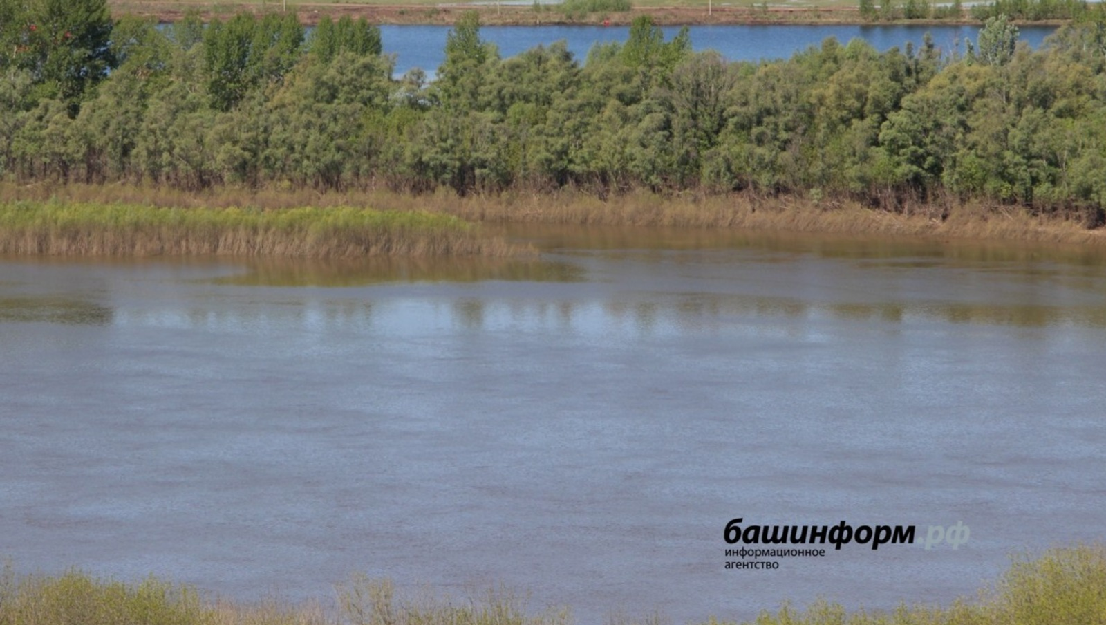 Стали известны причины гибели рыбы в реке Башкирии