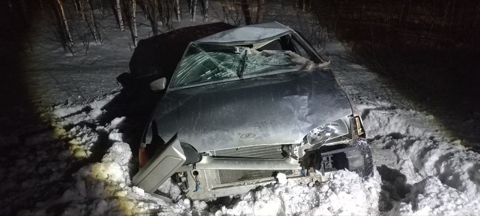 В Башкирии 19-летний водитель насмерть сбил лося