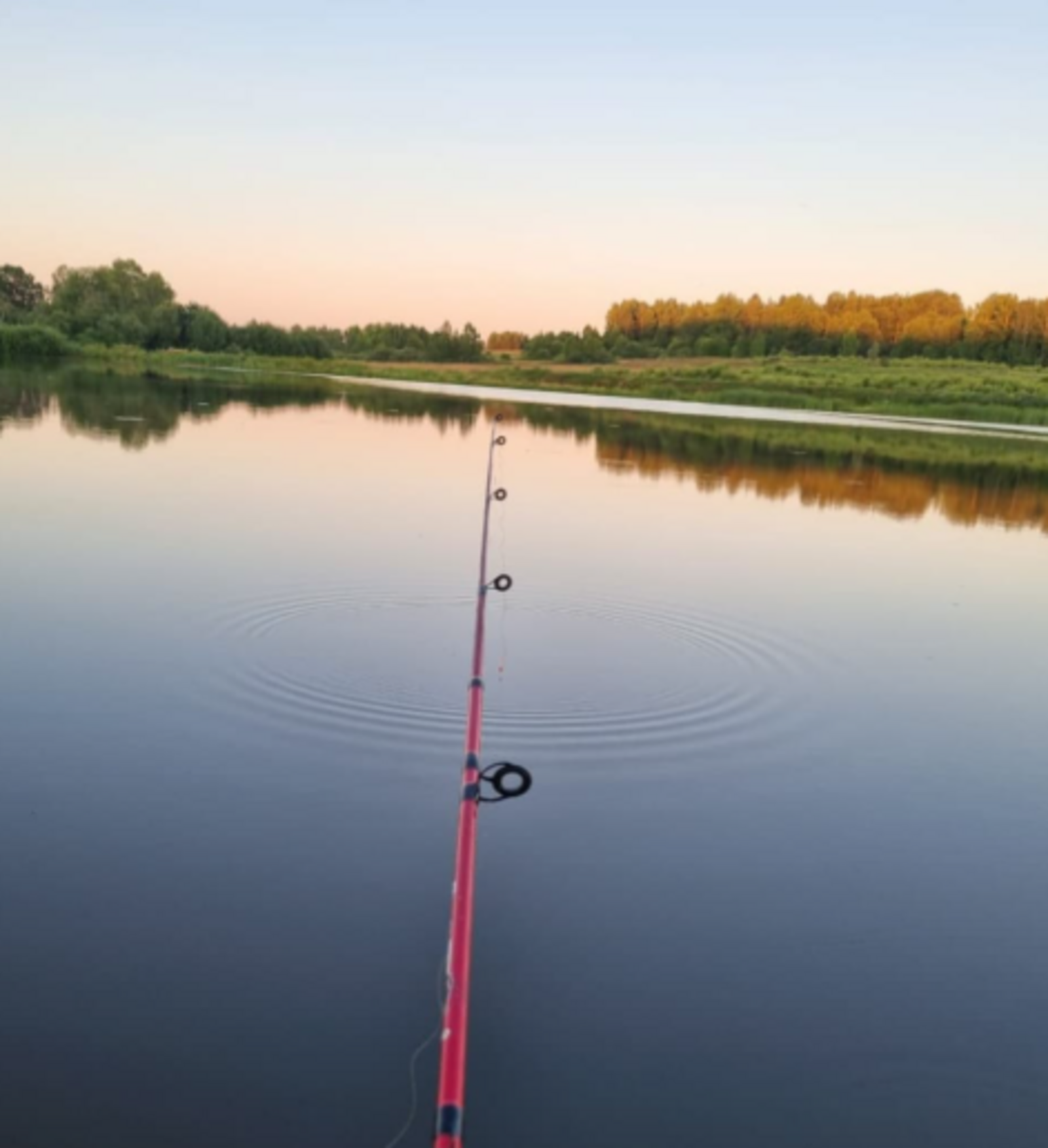 Какая рыба лучше клюет в конце августа 2025 – таблица рыбака