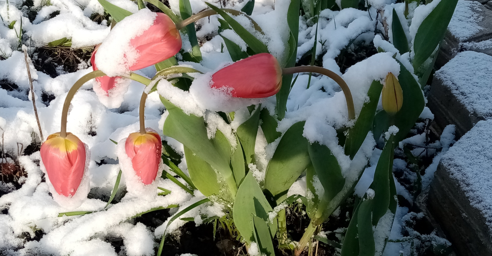 Полный гороскоп на 13 марта 2026 года для всех знаков зодиака