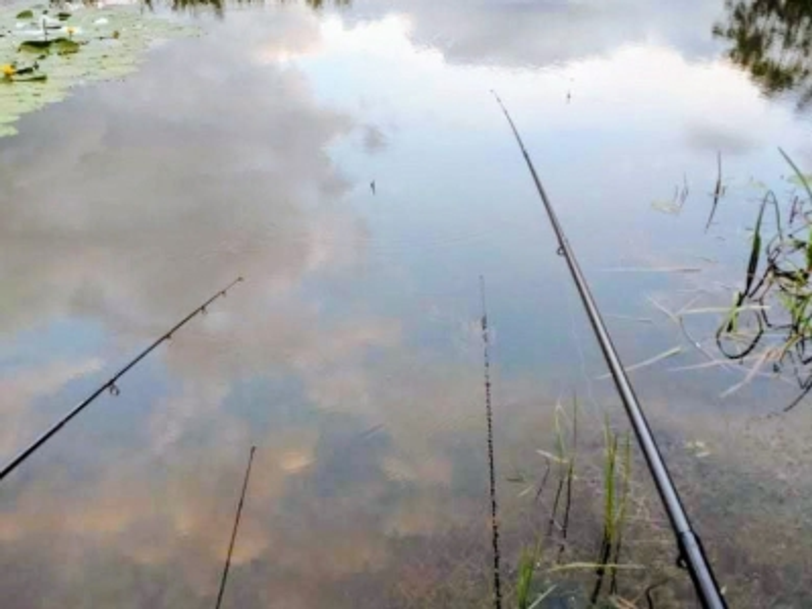 Начинается нерестовый запрет