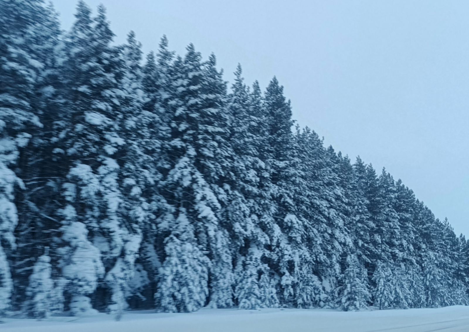 Розалия Хисаева   Гороскоп на 6 февраля 2026 года для всех знаков зодиака