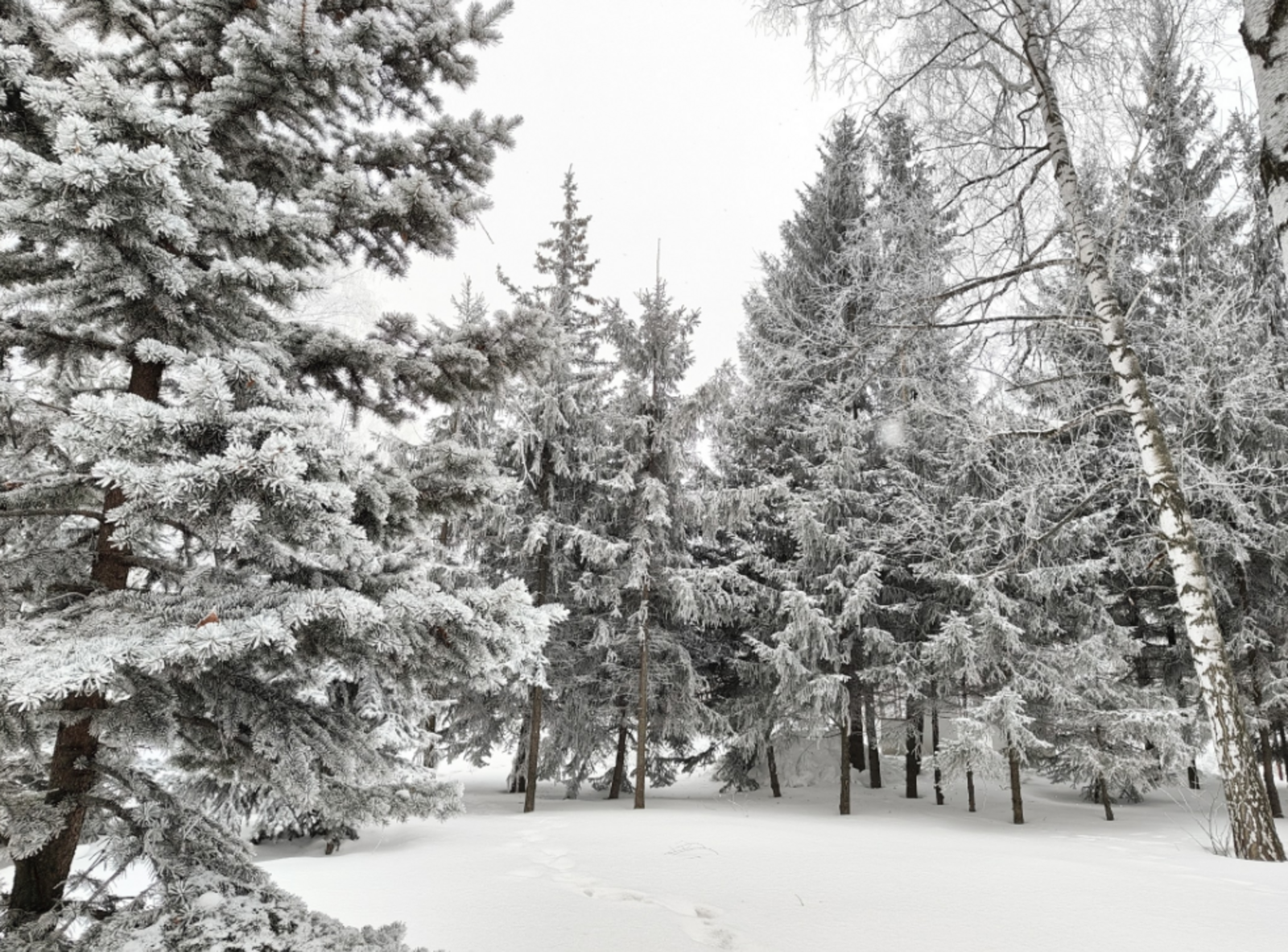 Полный гороскоп для всех знаков зодиака на 8 марта 2026 года