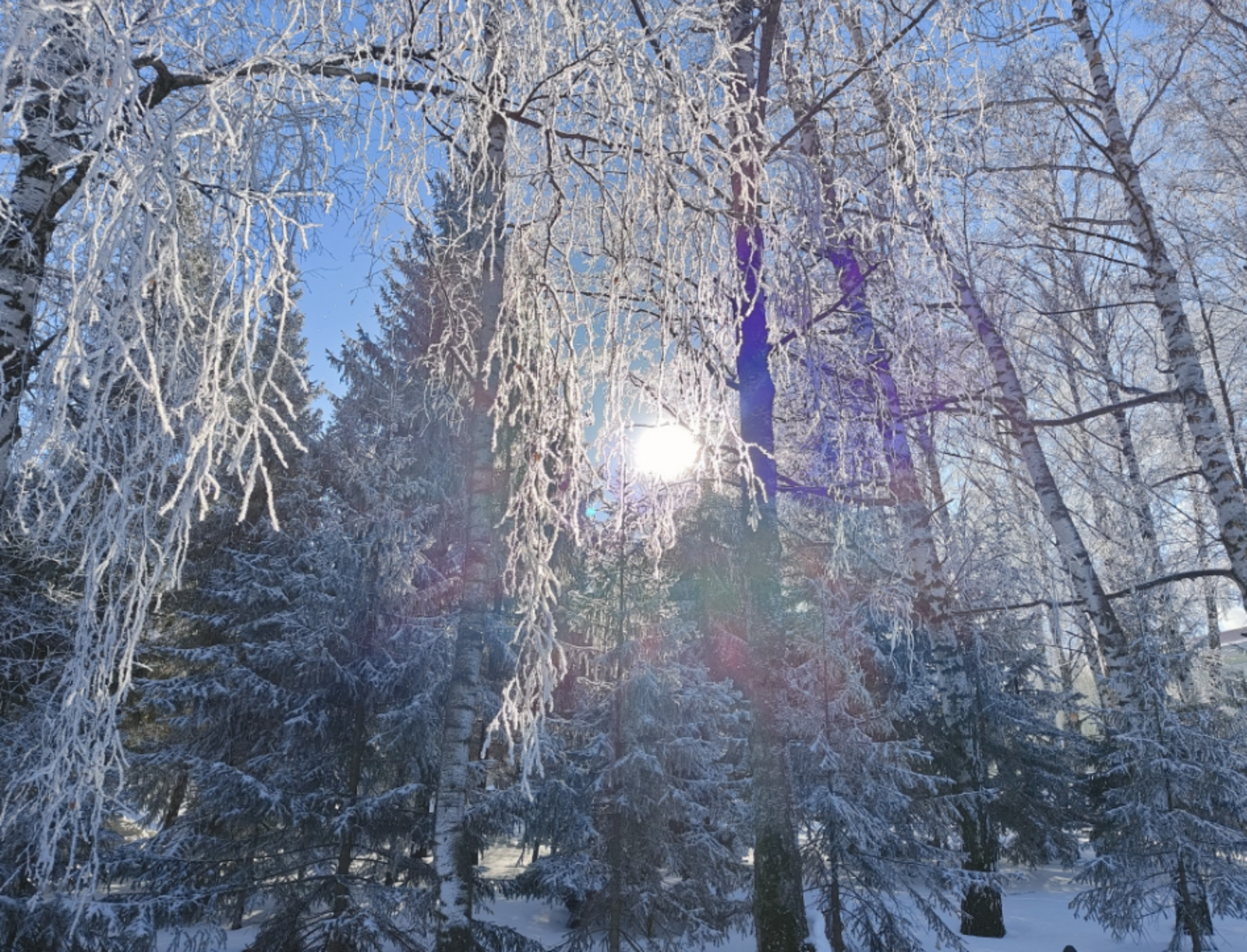 Гороскоп на 5 февраля 2026 года для всех знаков зодиака