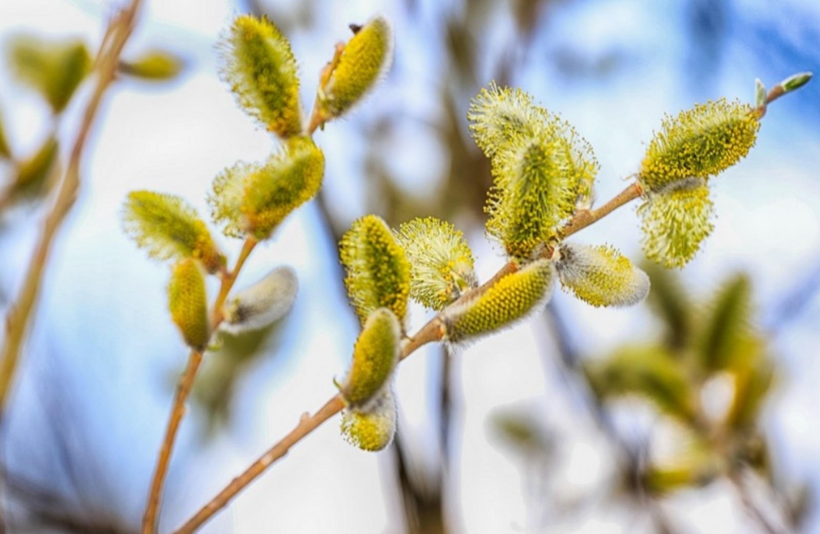 Гороскоп на 28 марта 2026: для 3 знаков зодиака этот день будет особенным