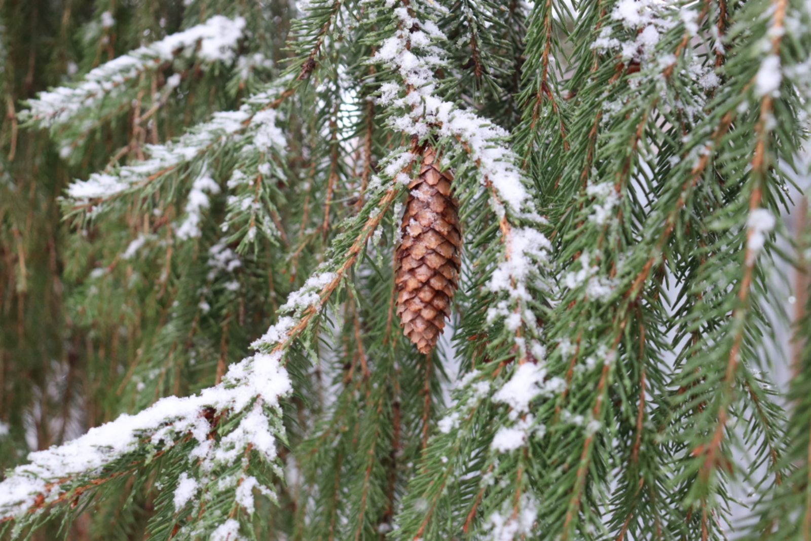 Гороскоп на 10 марта 2026: что ожидать?