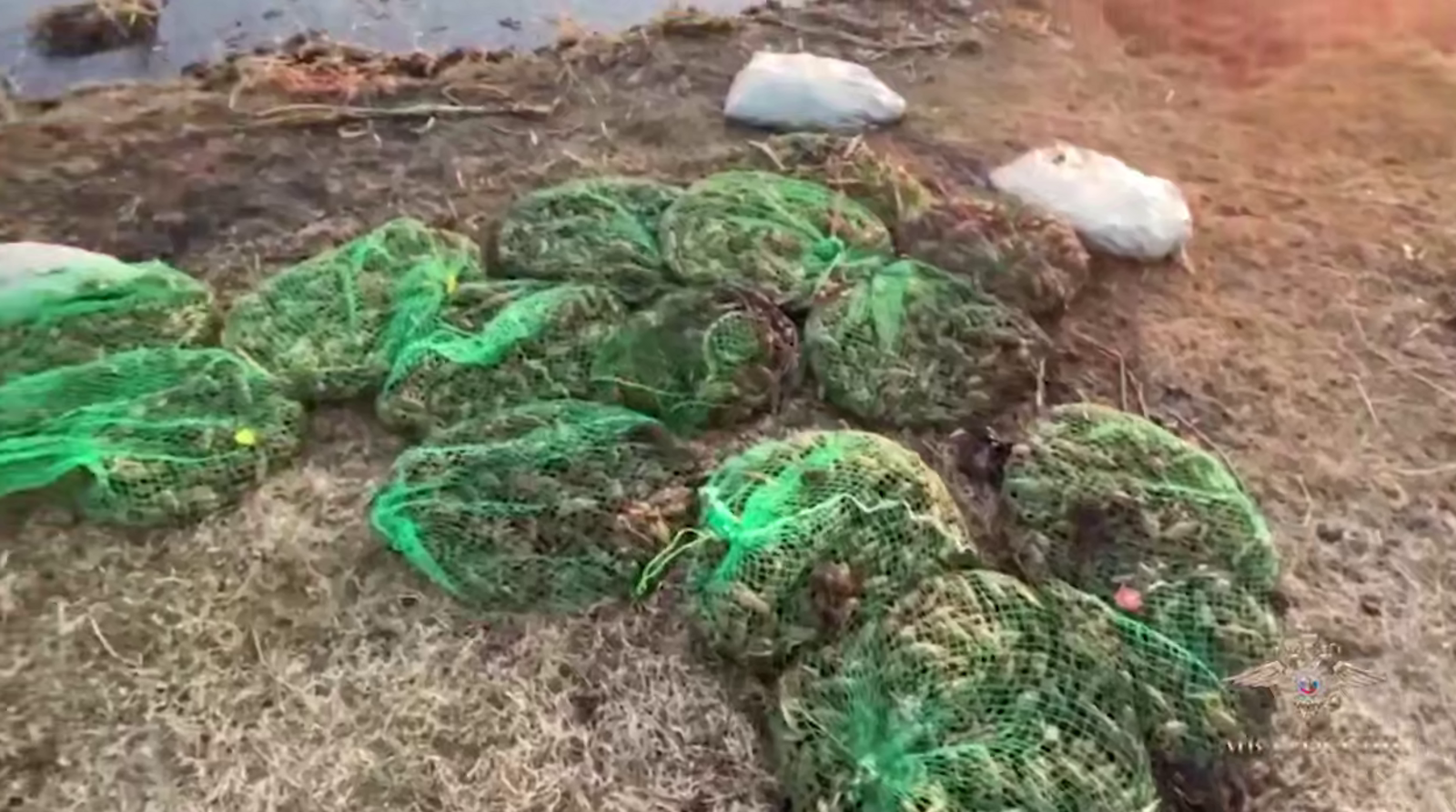 Порядка семи тысяч раков нелегально выловил житель Краснокамского района