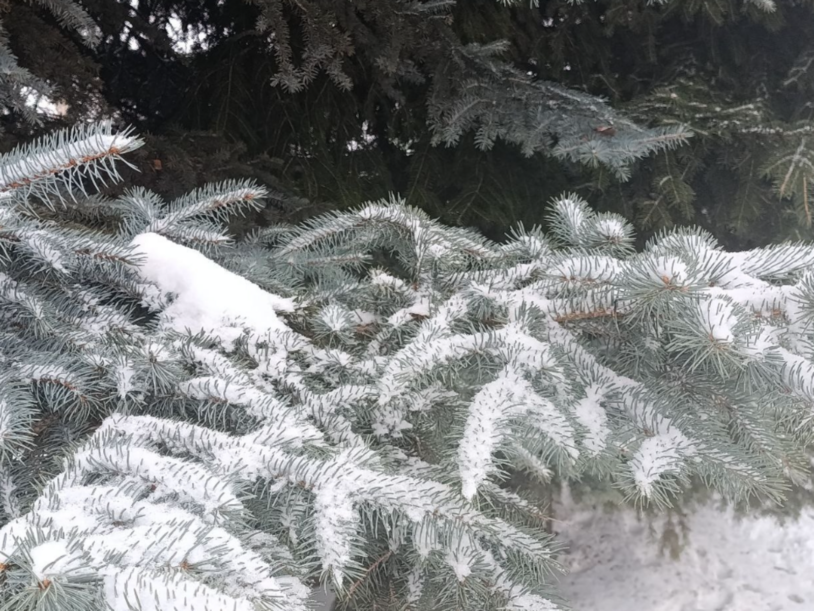 Гороскоп на 14 марта 2026: 5 знаков зодиака и их судьбоносный выбор в этот день