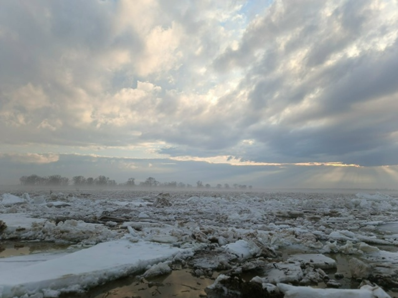 Реки Кама и Белая освободились ото льда