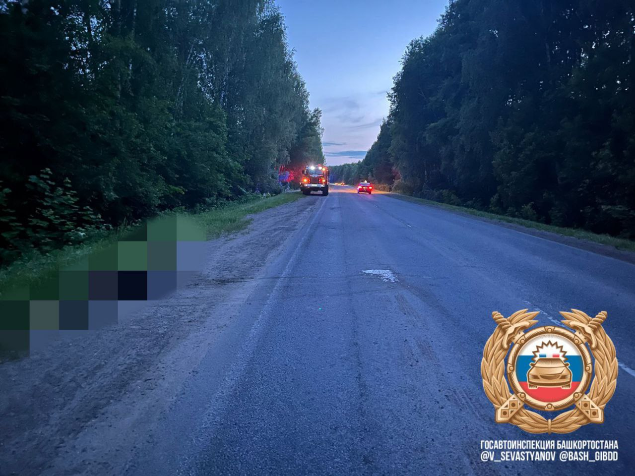 В Башкирии в столкновении с лосем погибли водитель и ребёнок