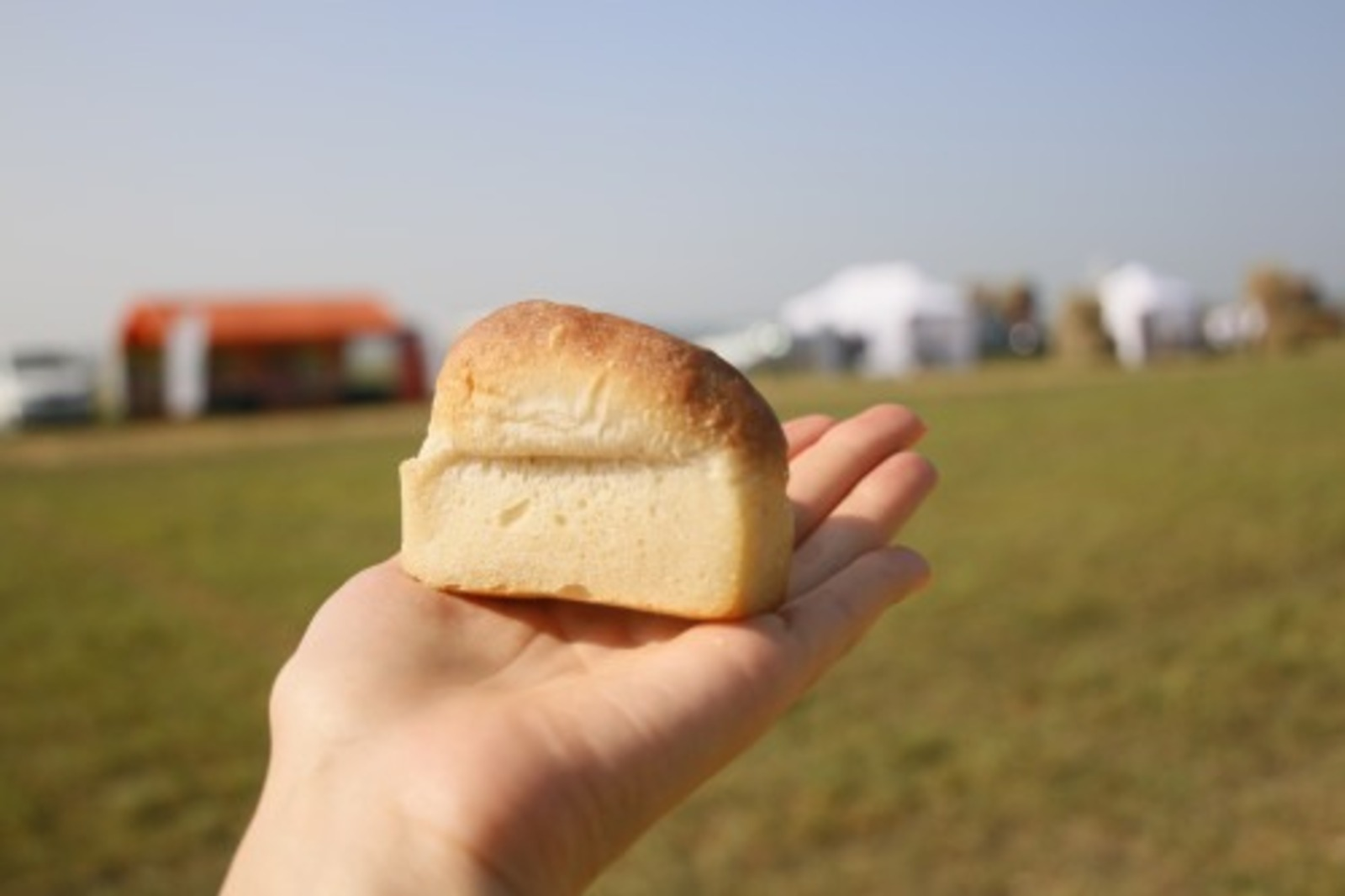 В Башкирии известны получатели гранта «Агростартап»