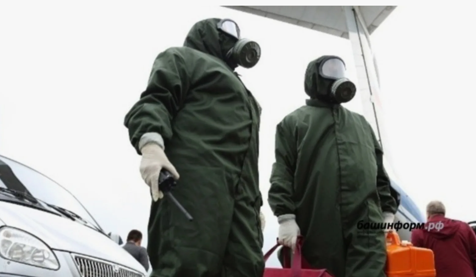 В Краснокамском районе ввели карантин по бешенству