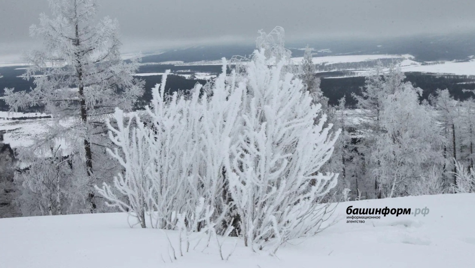 В Башкирии стала известна погода в середине зимы