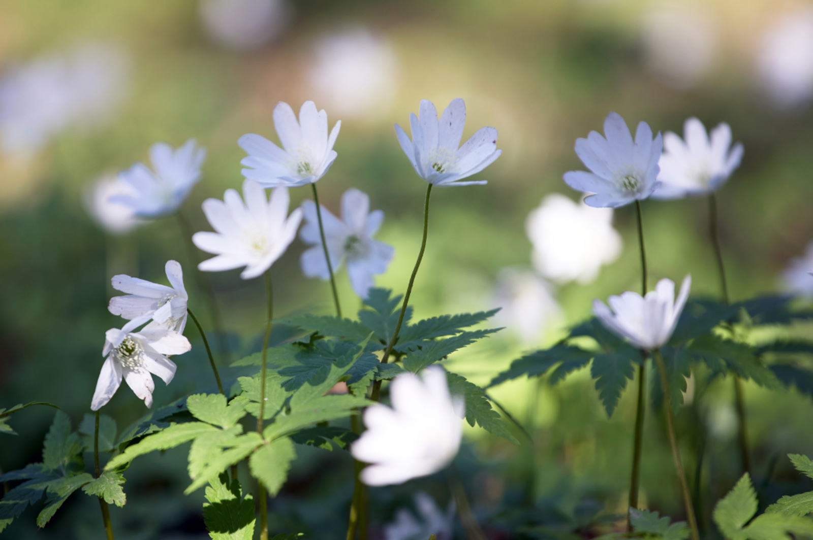Гороскоп на 21 апреля 2026: для 3 знаков зодиака откроются новые возможности