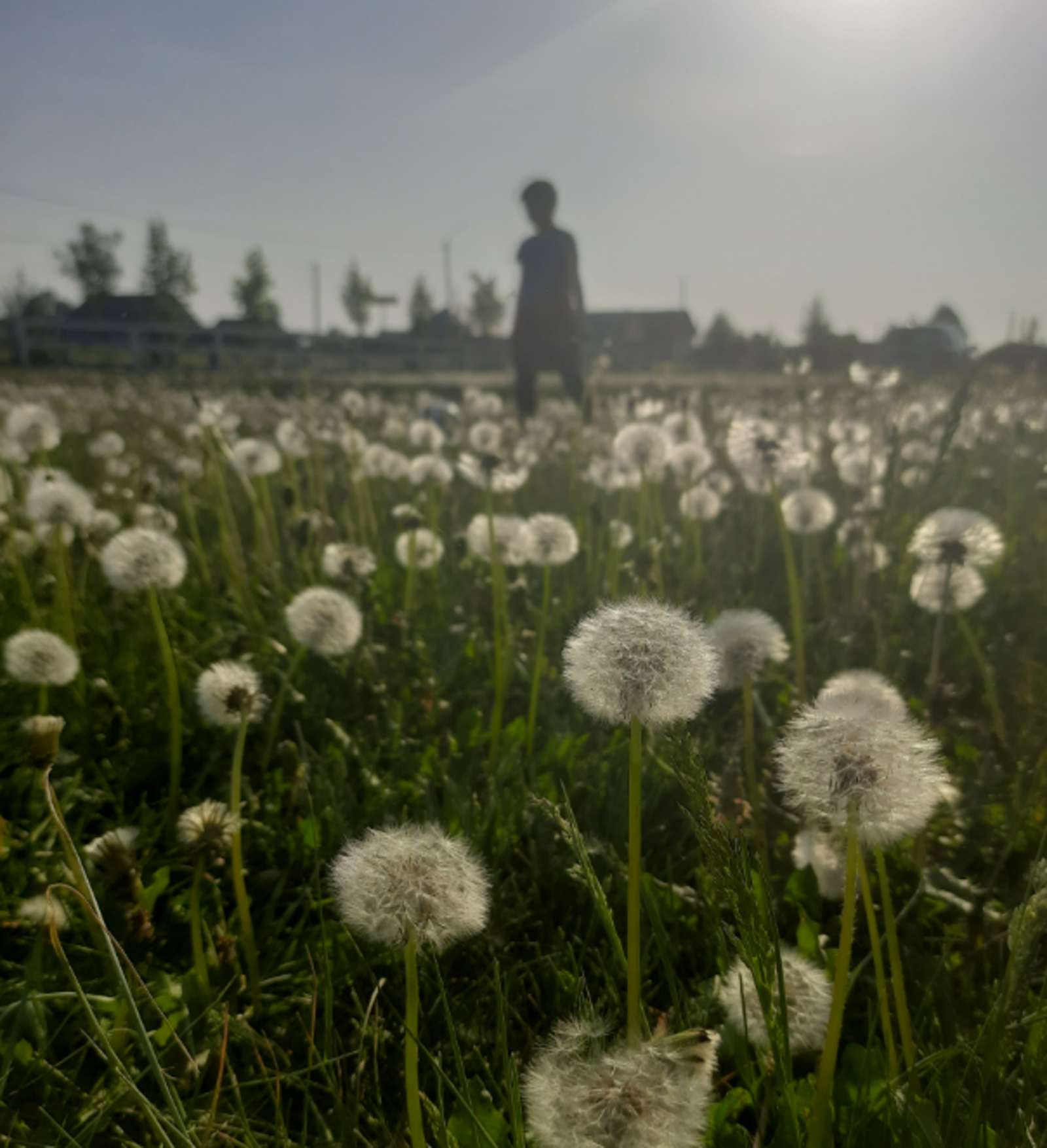 Гороскоп на 7 марта 2026 года для всех знаков: звезды советуют запомнить сон