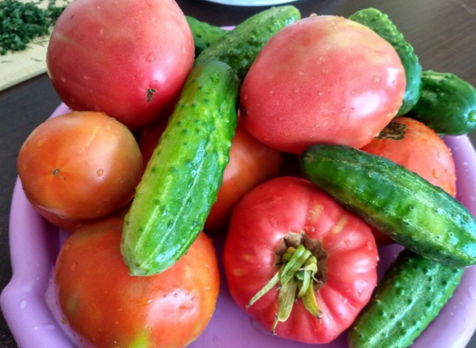 Что сажать на рассаду в конце февраля: первые шаги к богатому урожаю