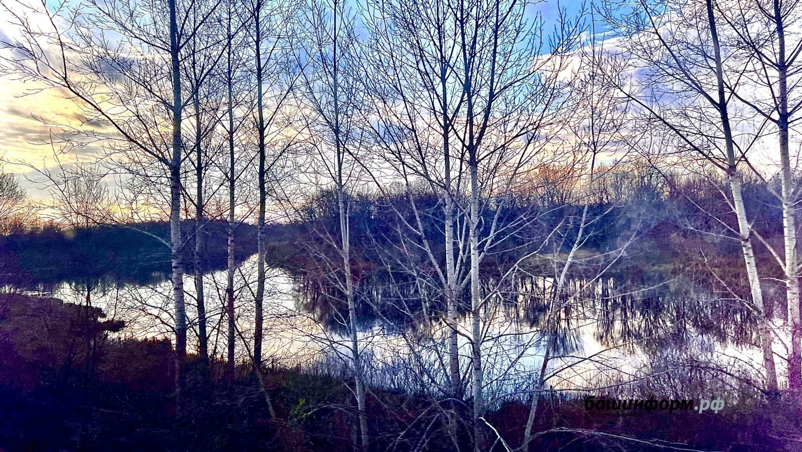 В Башкирии в лесу пропала женщина