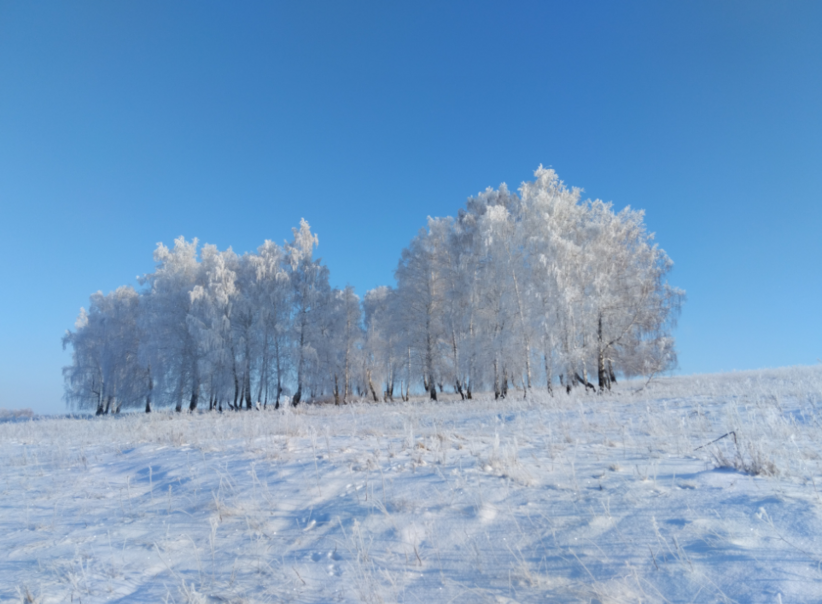 Гороскоп на 23 марта 2026: 3 знаков зодиака ждет судьбоносная встреча