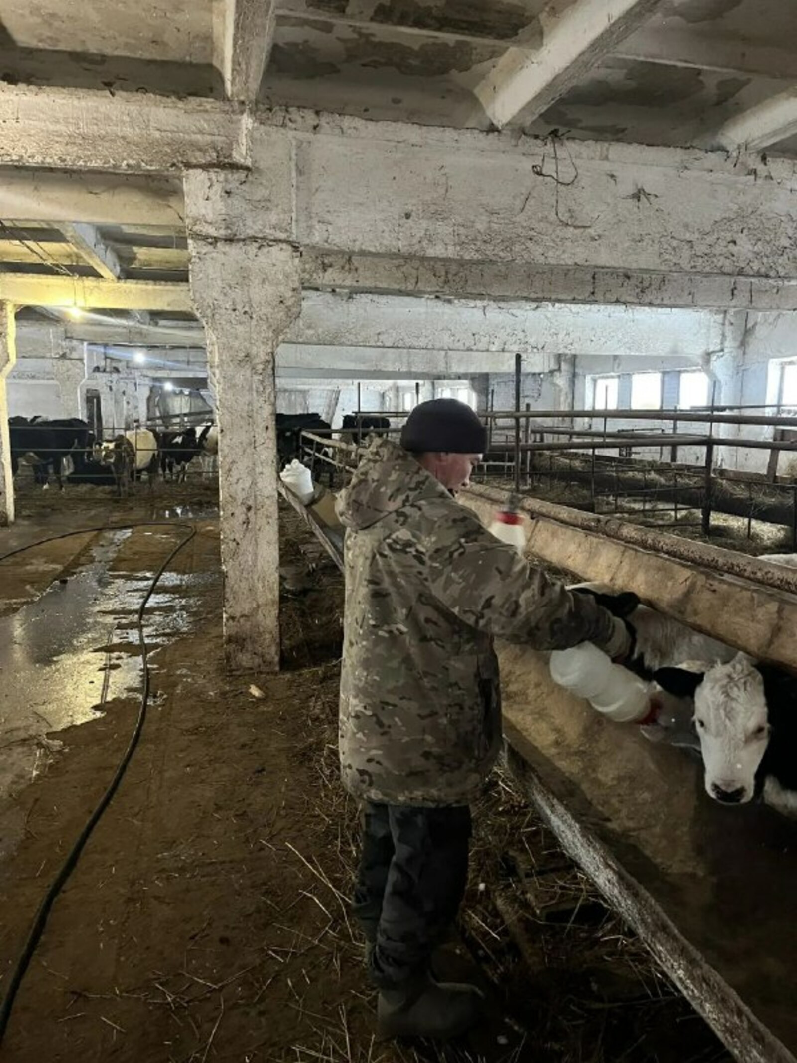 Шушнурский молочный комплекс обретает новую жизнь