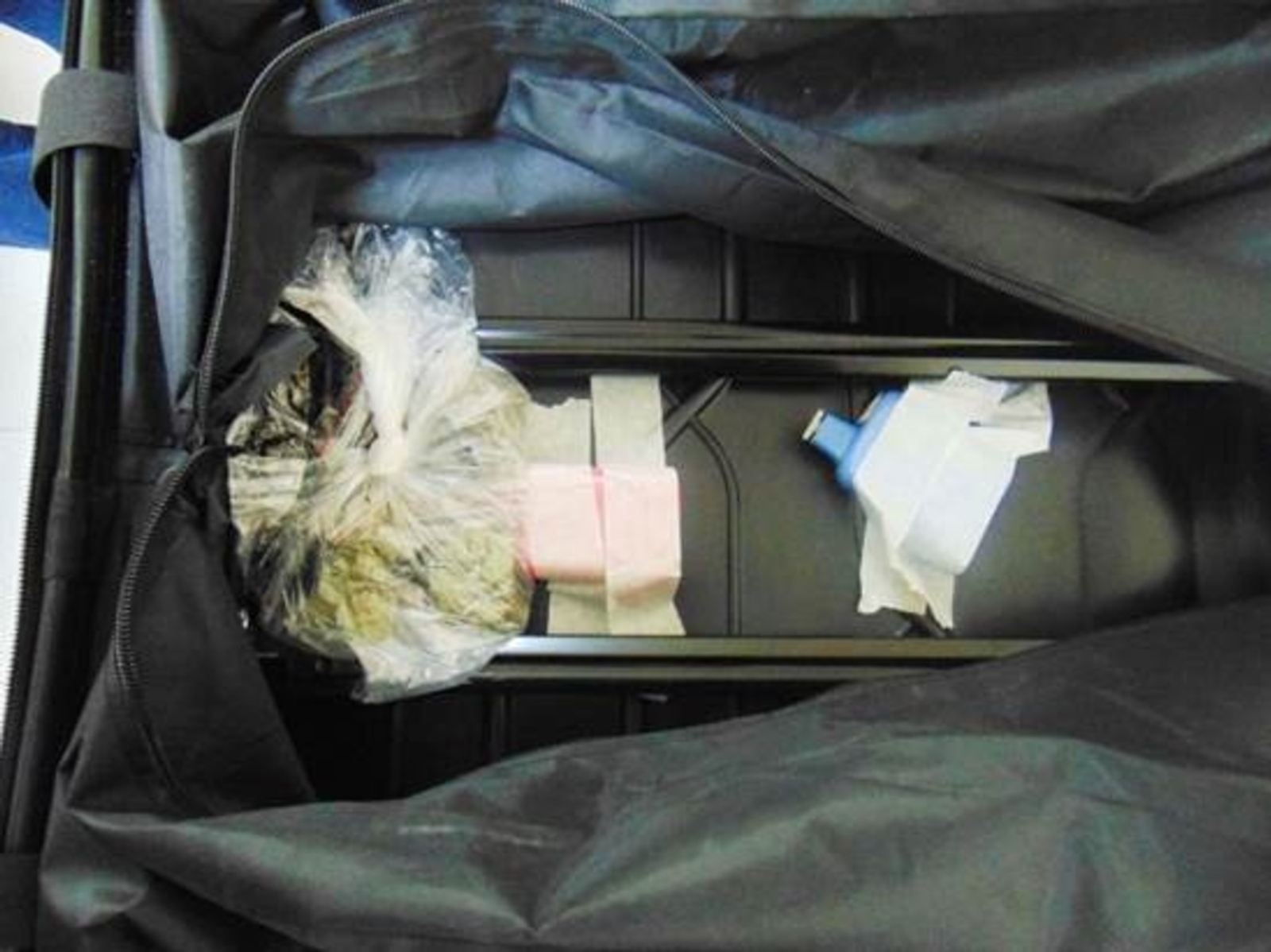 В Башкирии собака таможни нашла наркотики в чемодане