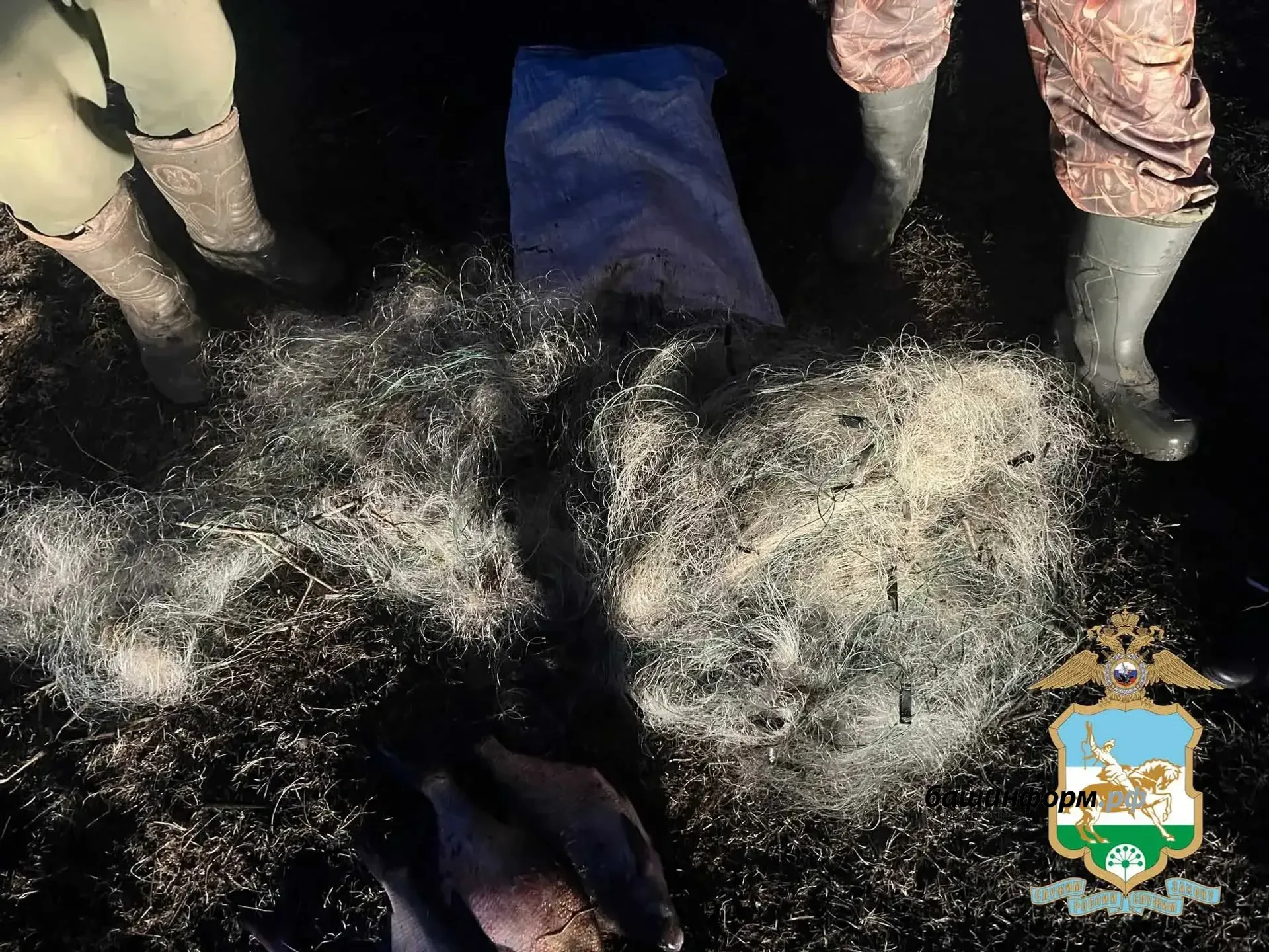 В Краснокамском районе браконьеры ловили лещей сетью во время нереста