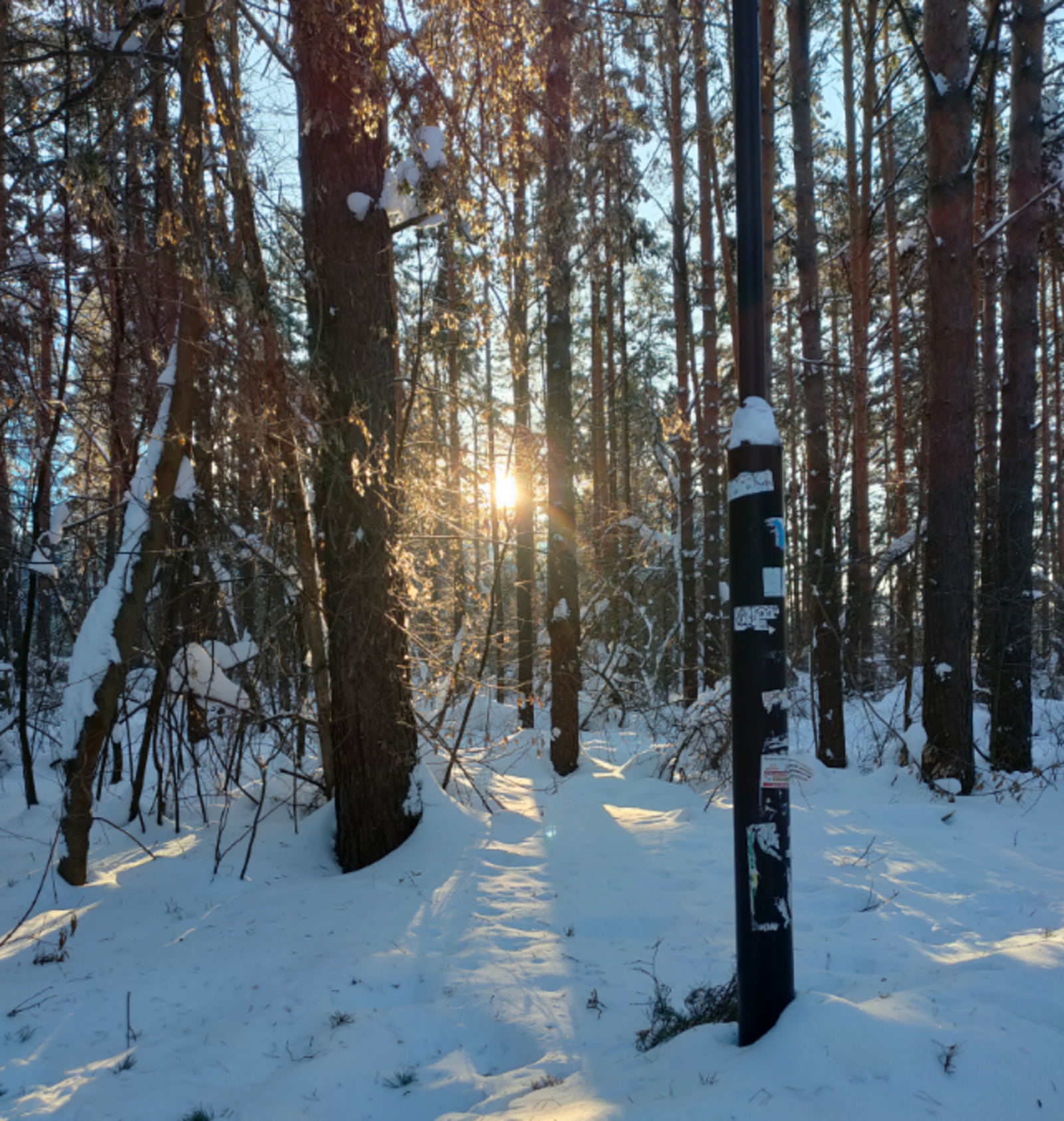 Артур Арсланов  Точный гороскоп на 4 марта для всех знаков зодиака
