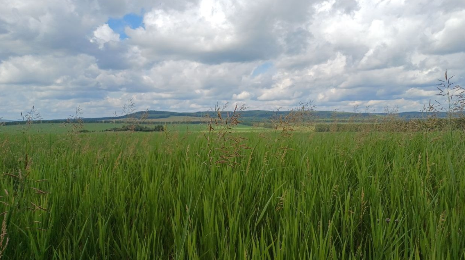 Гороскоп на 18 апреля 2026: 4 знака зодиака услышат важные слова