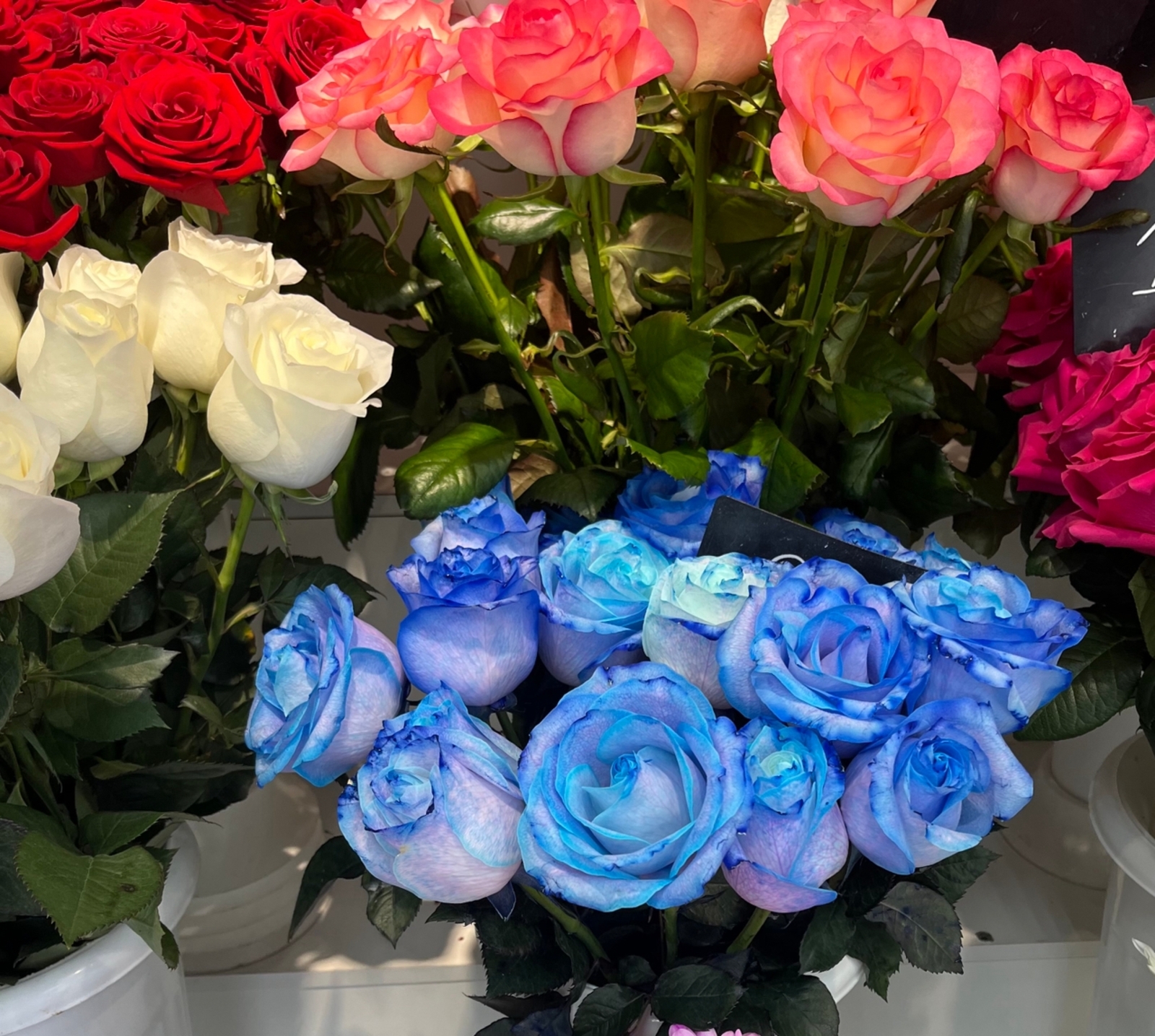 С праздником  8 Марта!