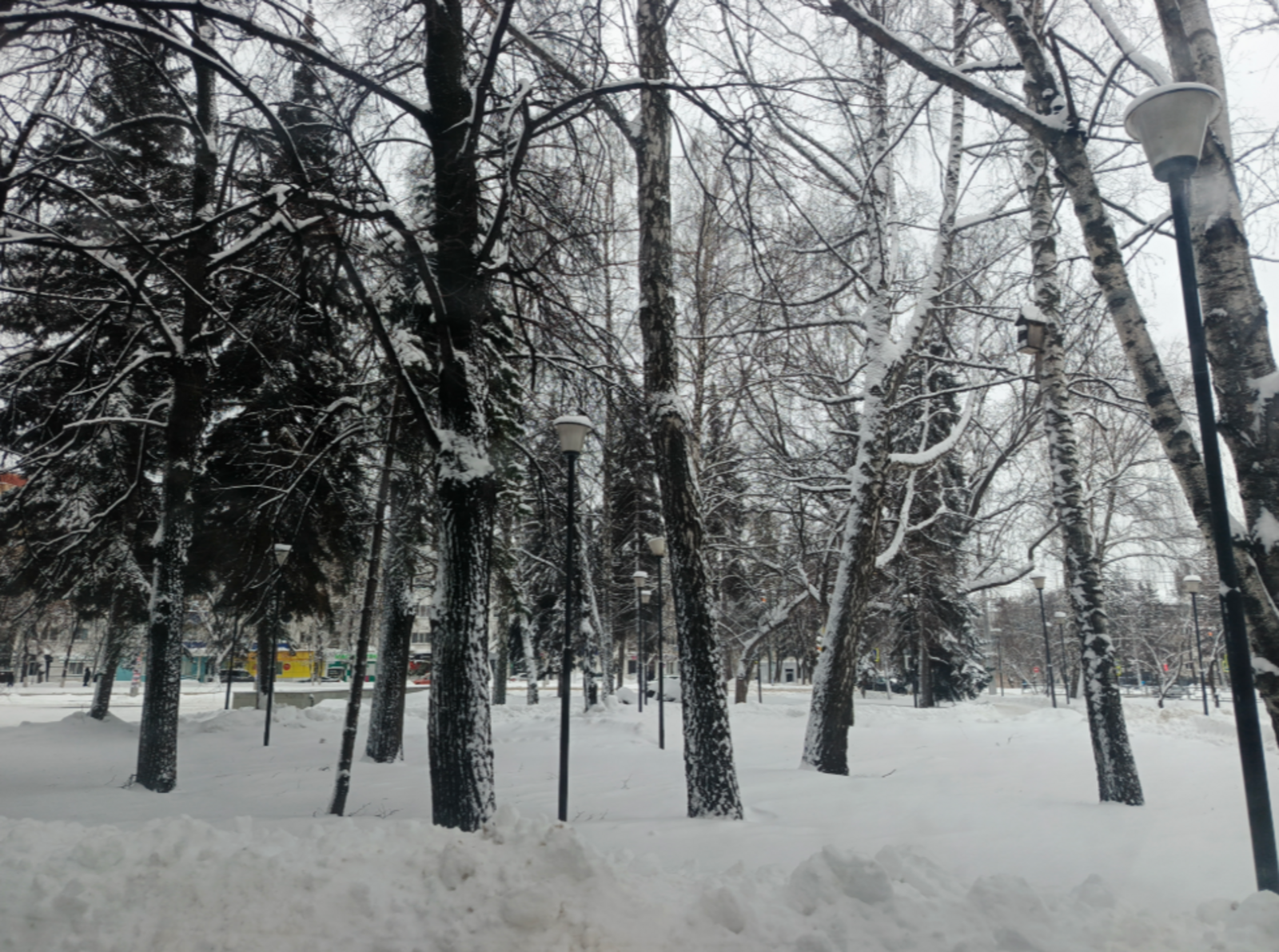 Полный гороскоп на 19 февраля для всех знаков Зодиака