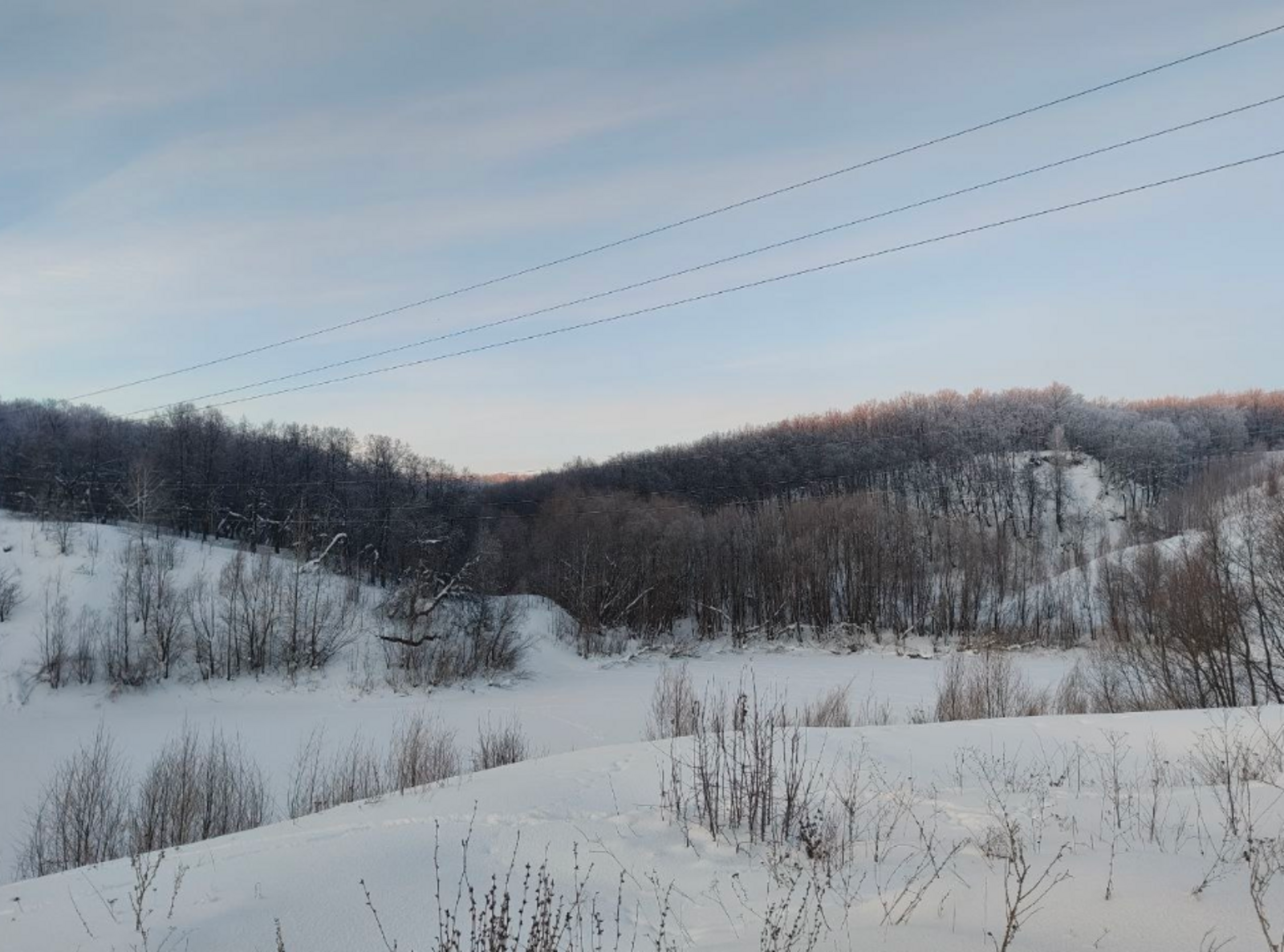 Какая рыба лучше клюет в феврале: полный гид