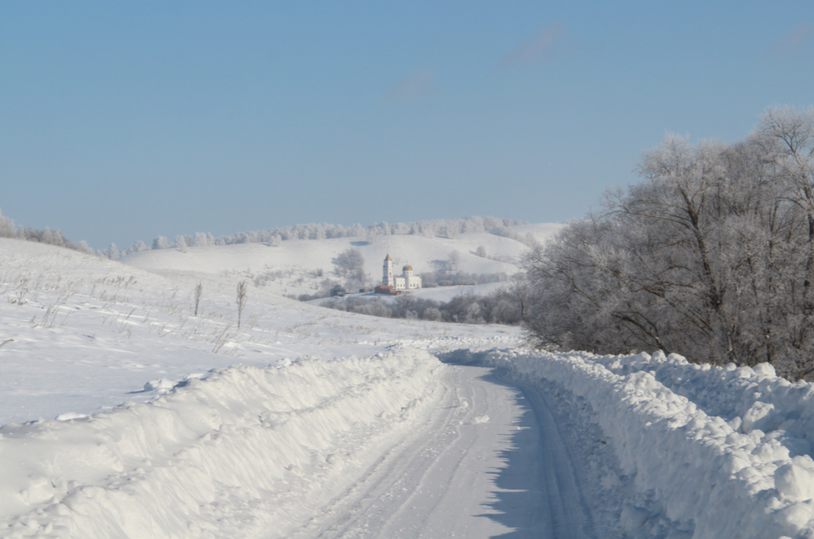 Гороскоп на 25 февраля для всех знаков зодиака